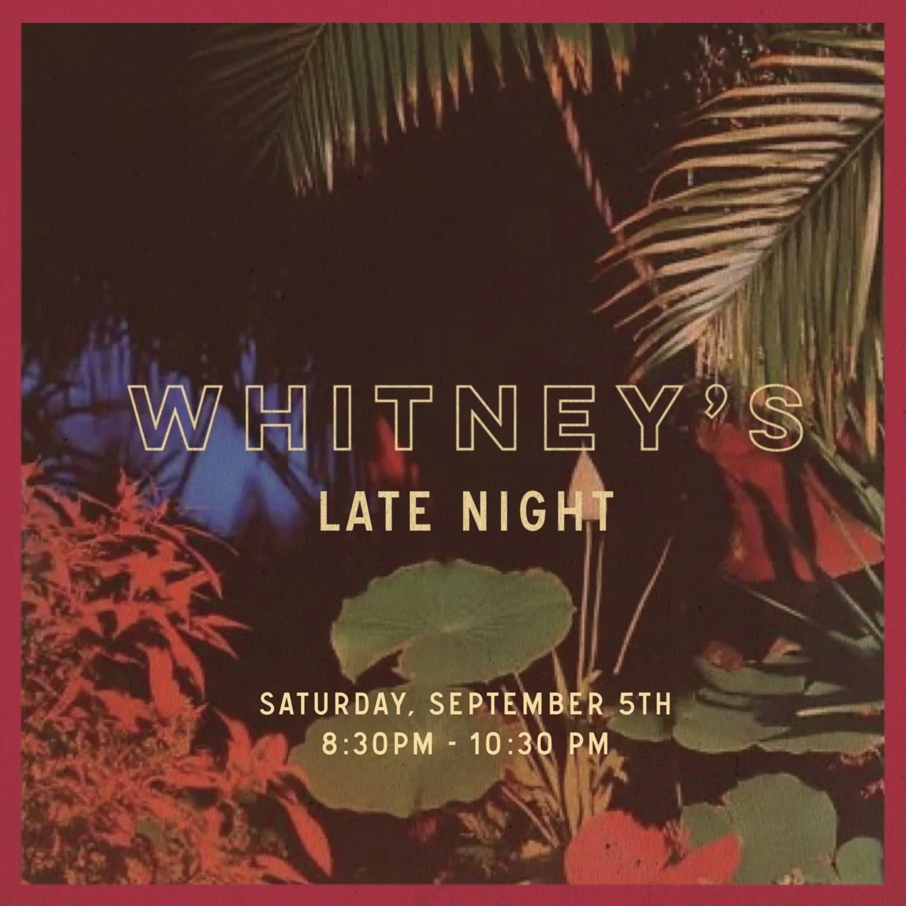 Whitney's Late Night 