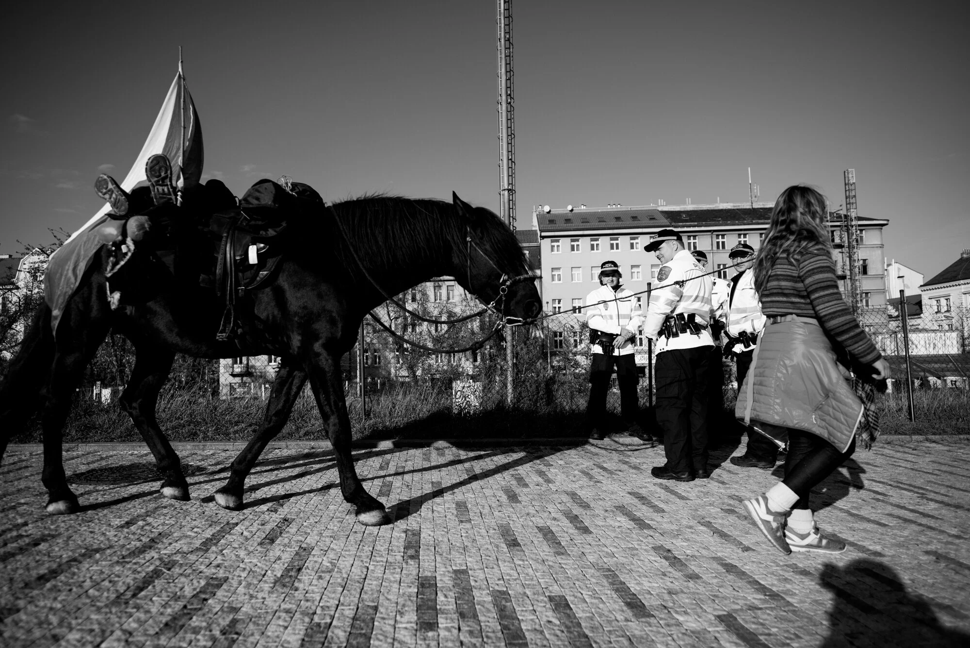 letna sample-final.JPG