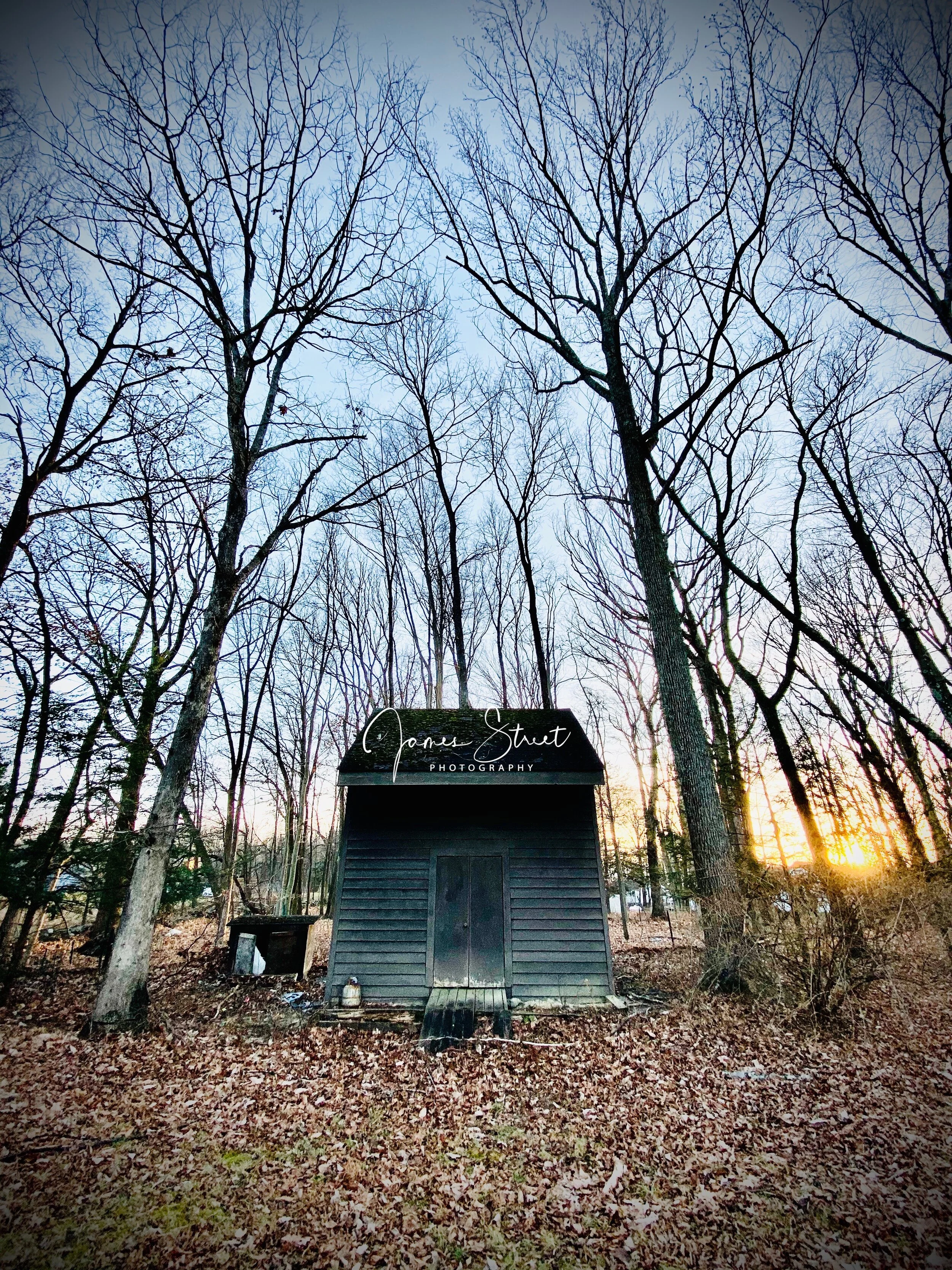 Cabin in the Woods