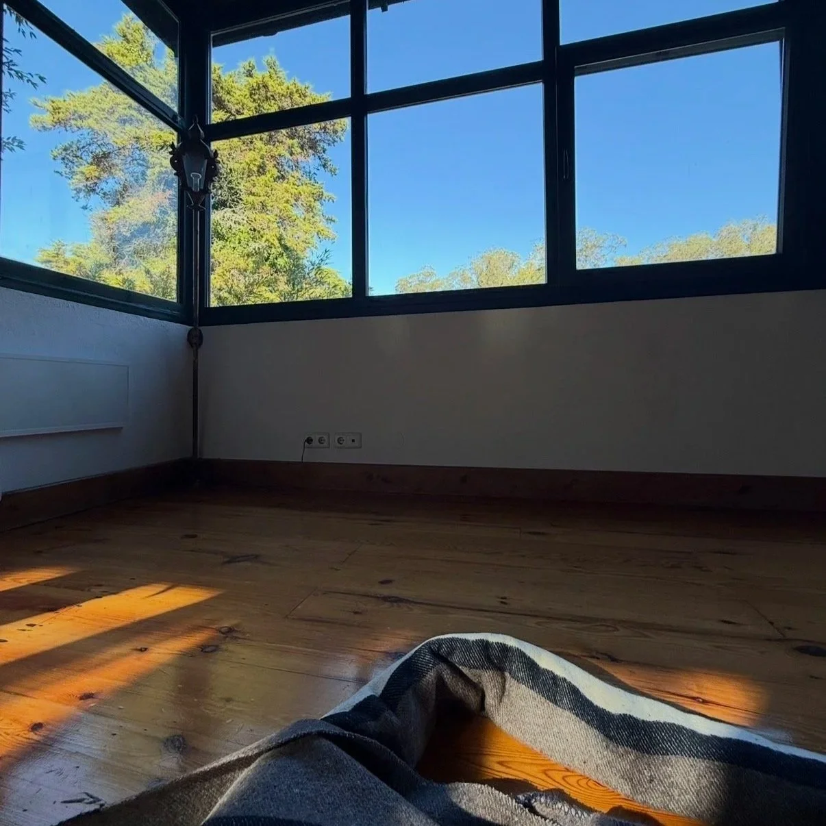 October Notes: Yin in the Forest, Yoga Nidra Plans &amp; Autumn Beginnings