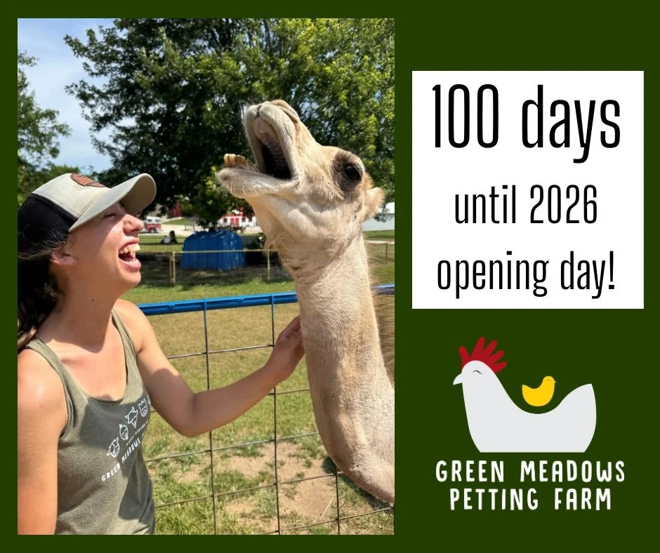 🗓️ Mark your calendars for our 2026 season! 

It may be cold and snowy now, but we are officially counting down the 💯 days to our opening day. We&rsquo;re already dreaming about hayrides, sunshine and making those Green Meadows memories! 

We can&r