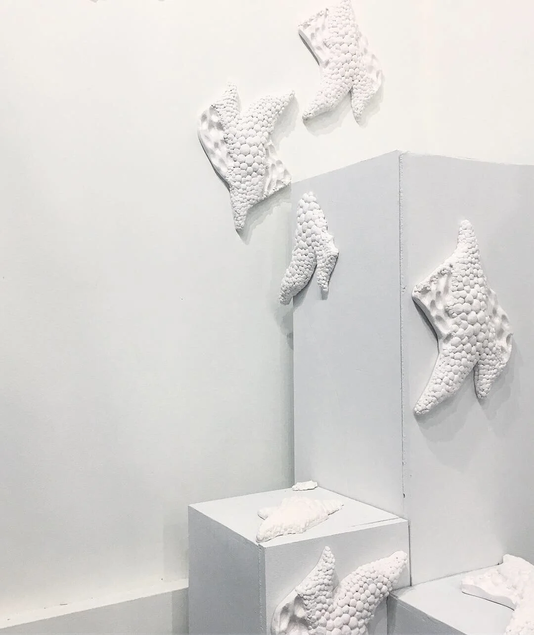  cast plaster [2019] 