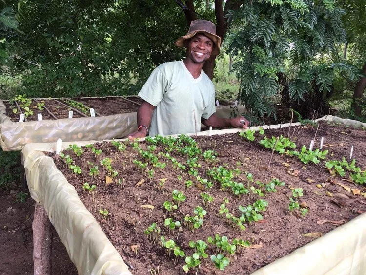 LEAF is set to transform its tree nursery in Pwani using the funds raised during National Tree Week. The new nursery will support our forest restoration work and save endangered species from extinction.