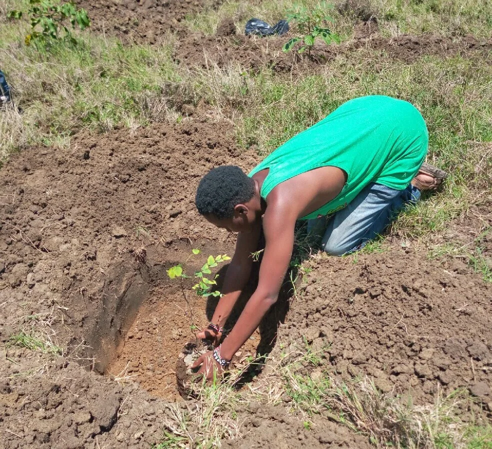Oscar Mwaura planting our first tree in Pwani university