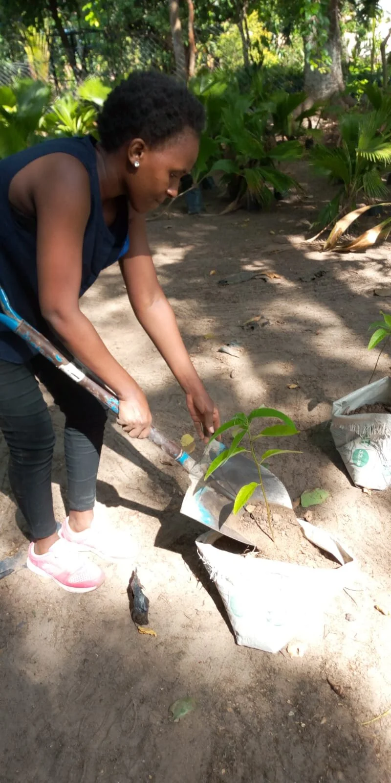 Pwani_seedling_transfer (3).jpeg