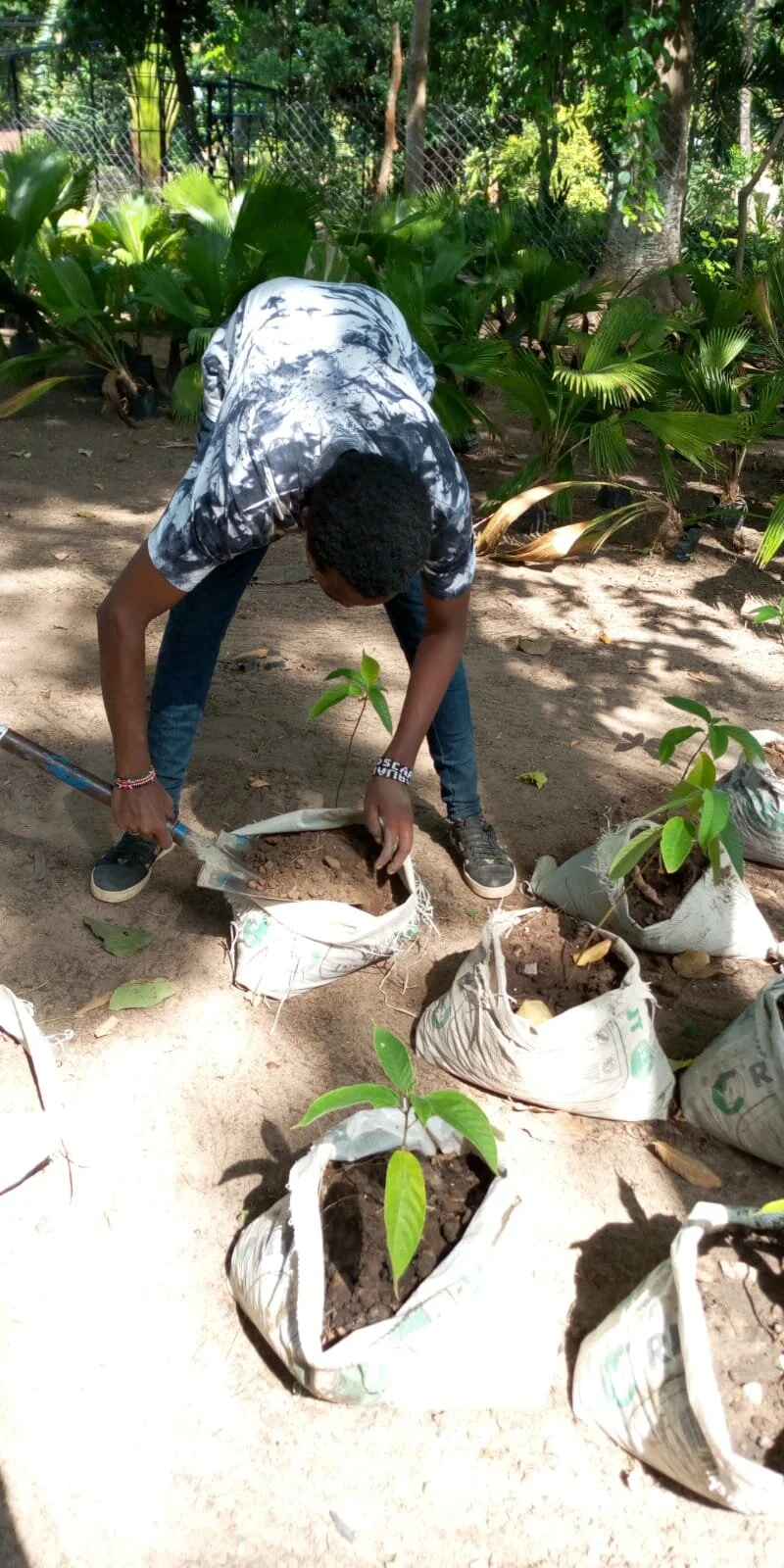 Pwani_seedling_transfer (5).jpeg