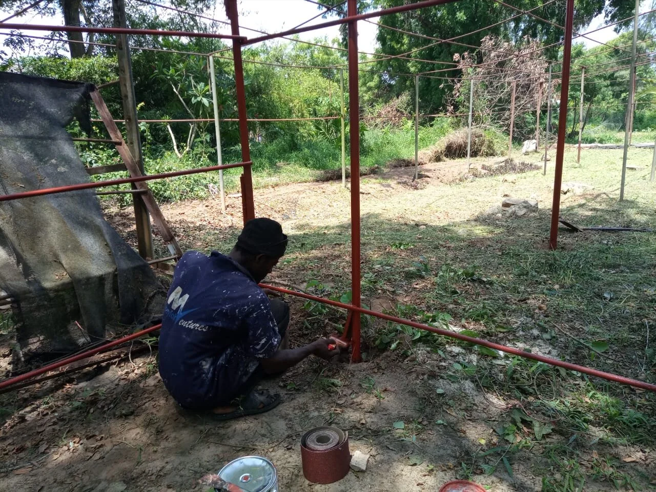 pwani_nursery_painting (1).jpeg