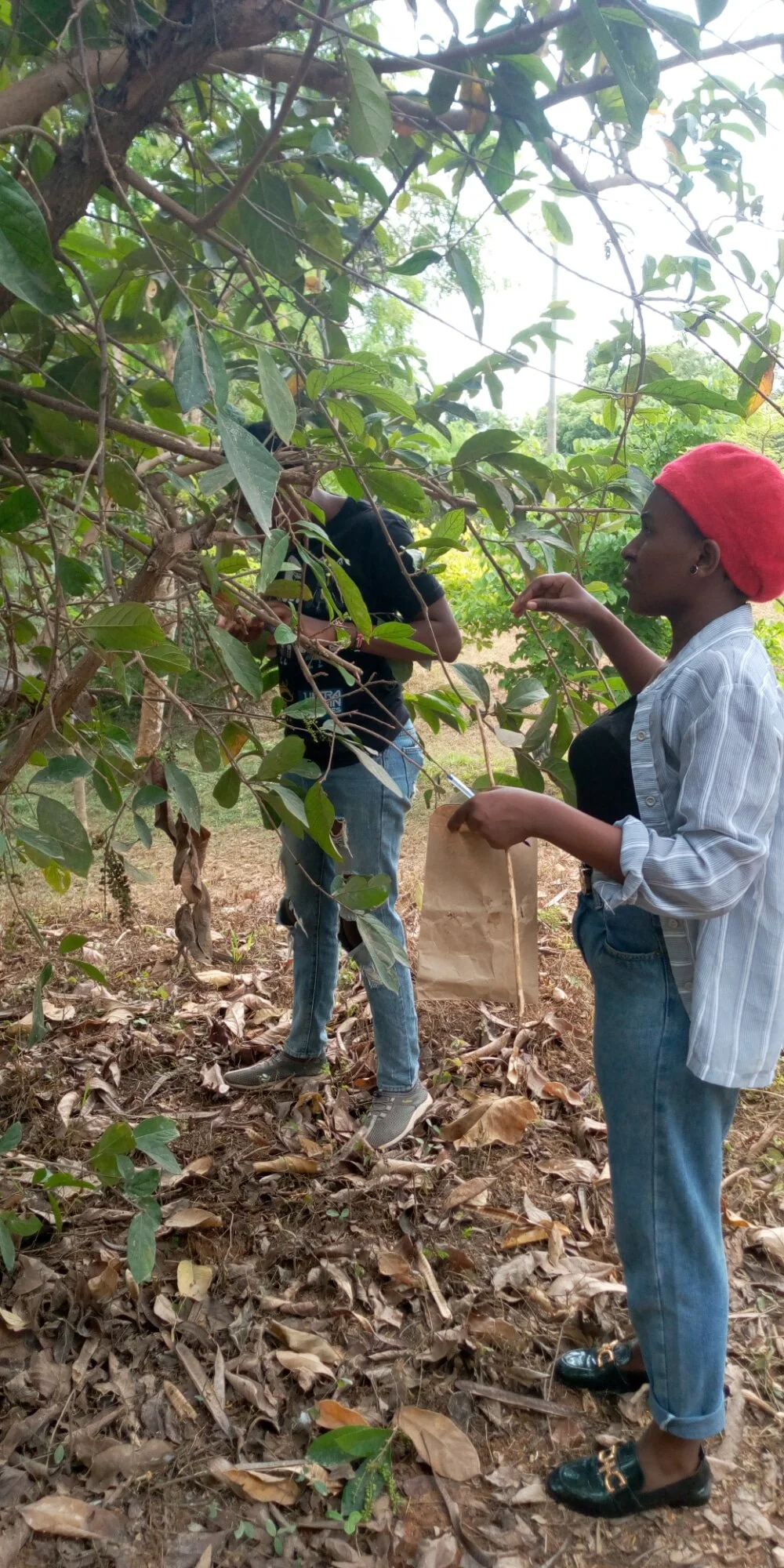 WhatsApp Image 2021-01-16 at 14.58.14.jpeg