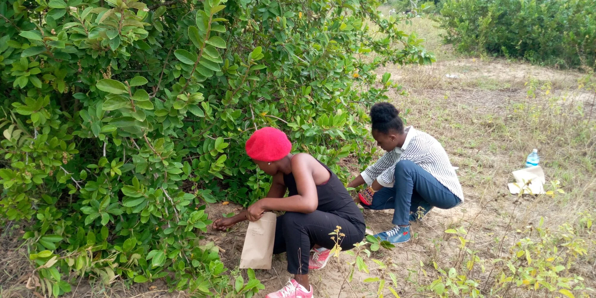 WhatsApp Image 2021-01-16 at 14.58.33.jpeg