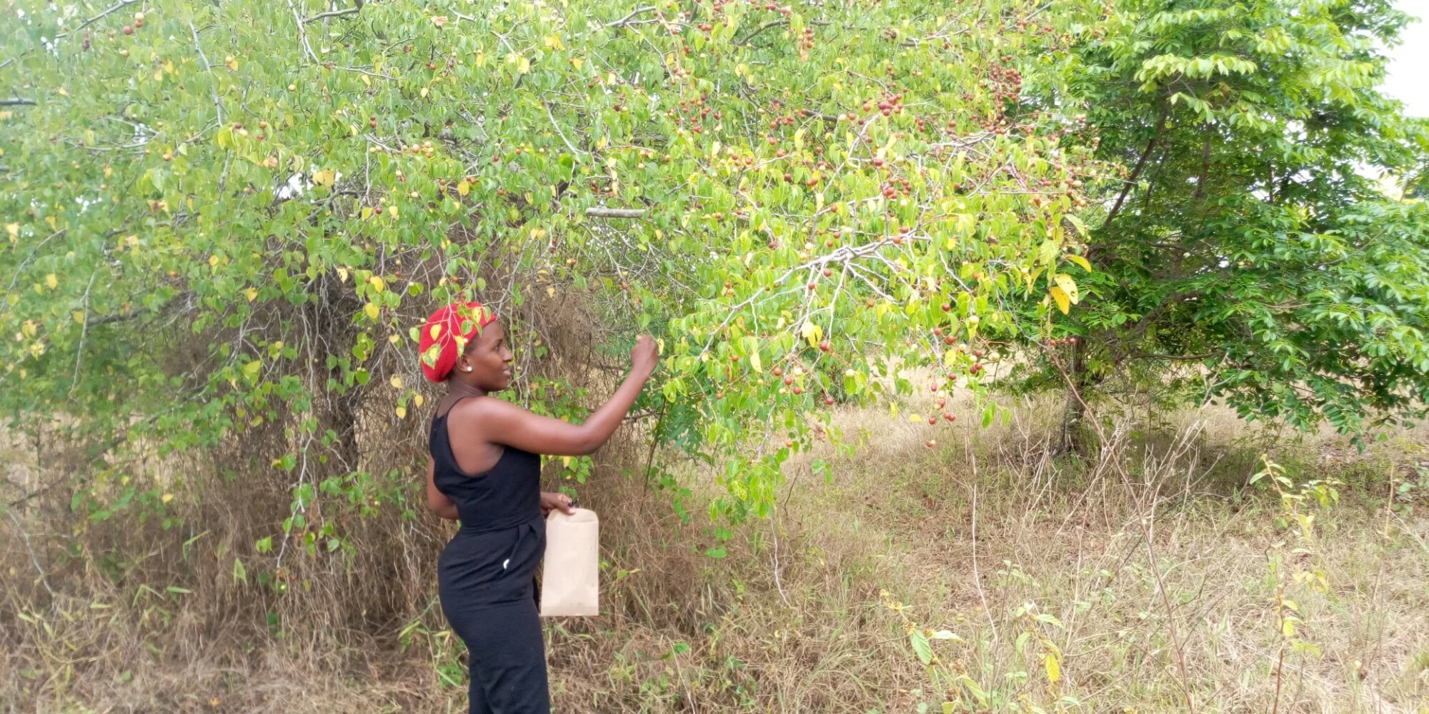 WhatsApp Image 2021-01-16 at 14.58.32.jpeg