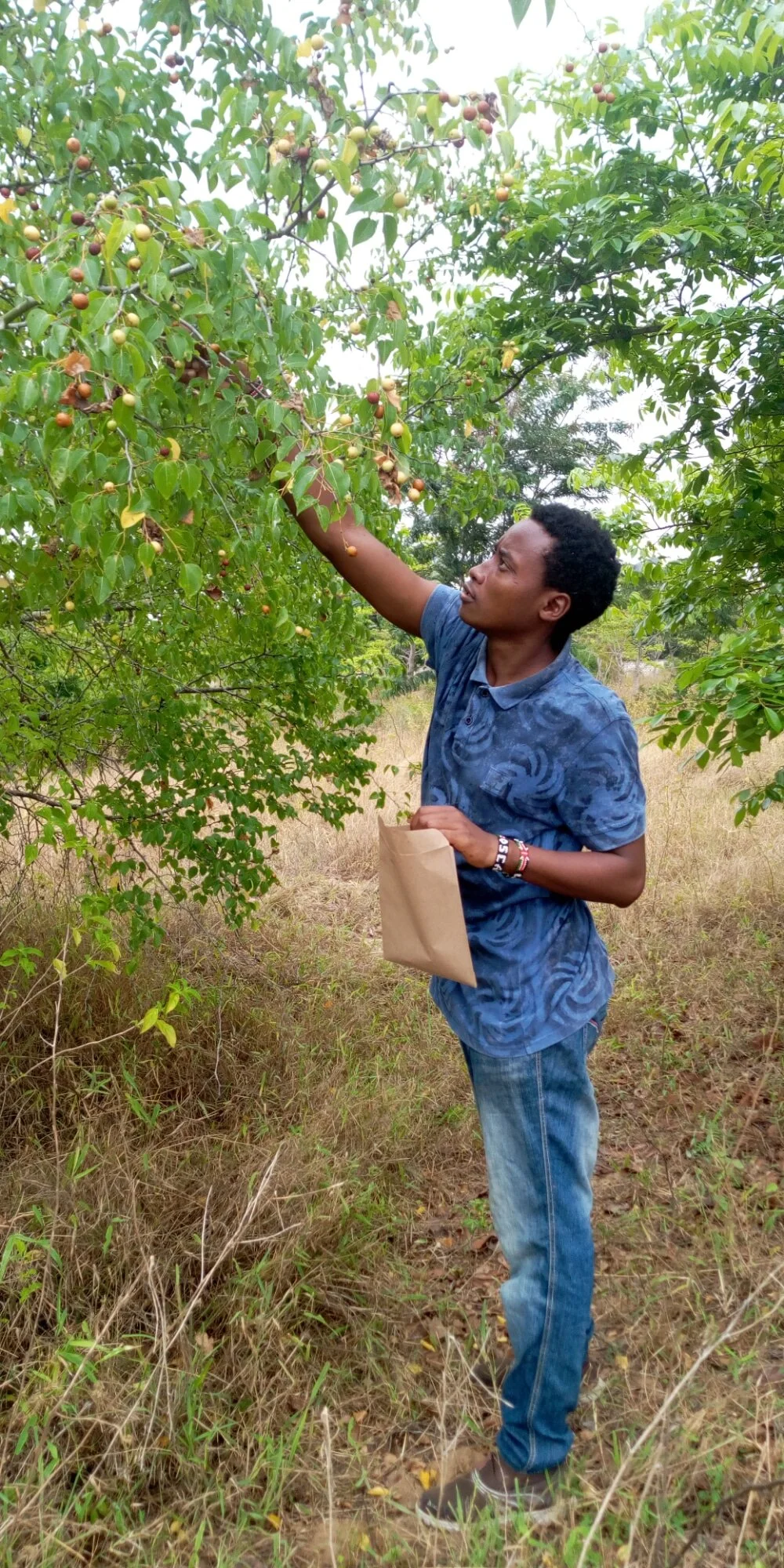 WhatsApp Image 2021-01-16 at 14.58.27.jpeg