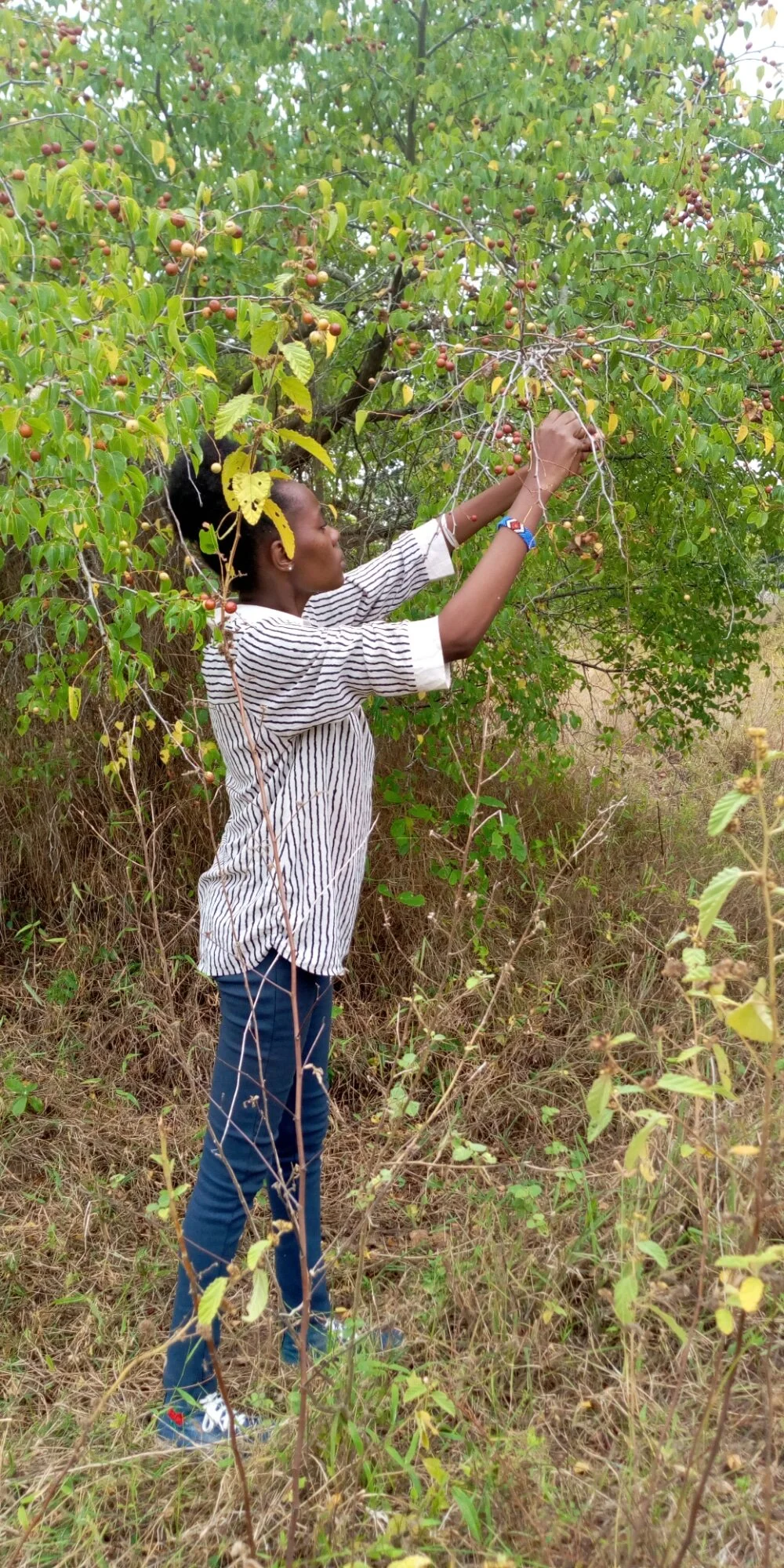 WhatsApp Image 2021-01-16 at 14.58.26.jpeg