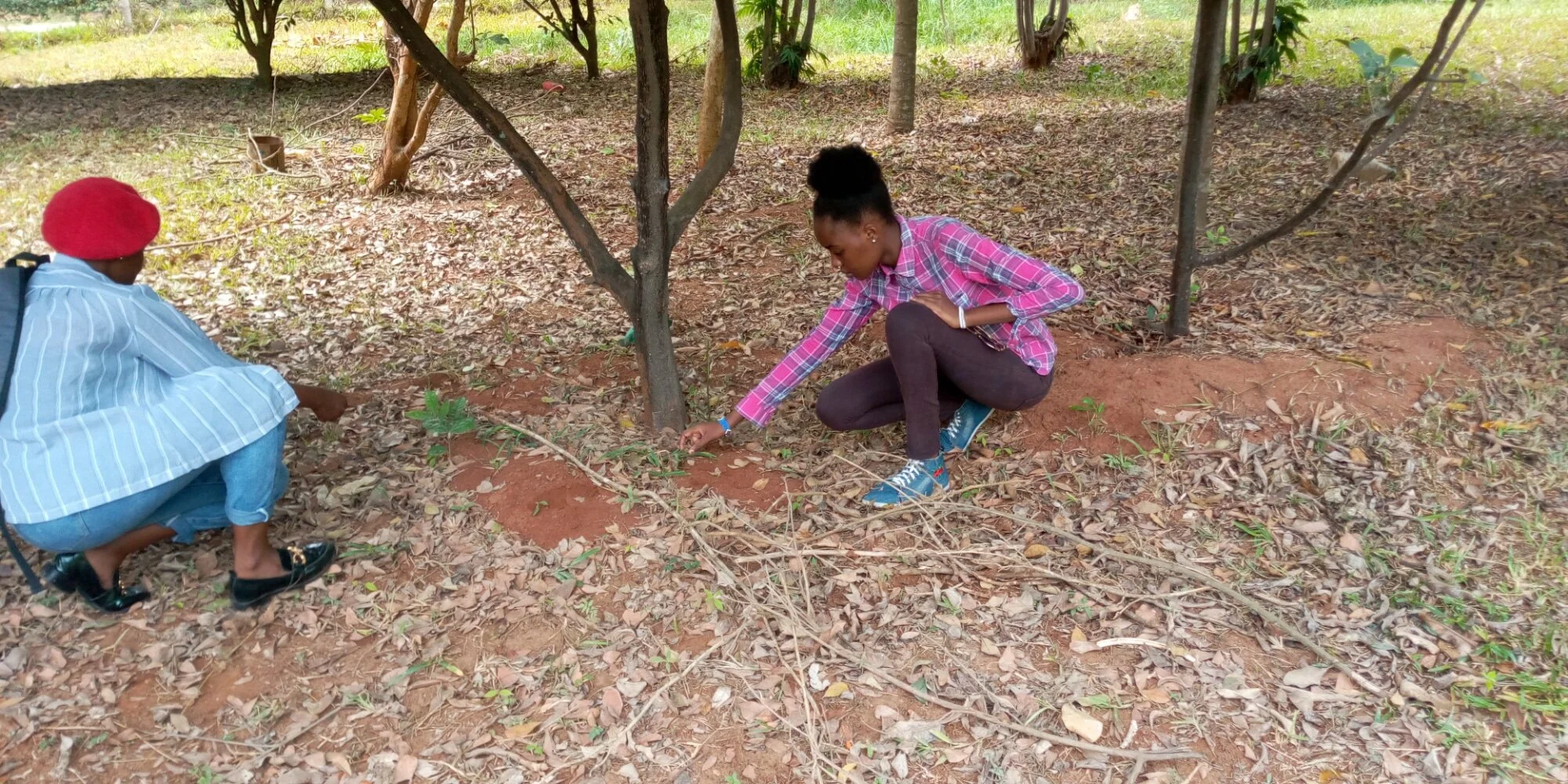 WhatsApp Image 2021-01-16 at 14.58.16.jpeg