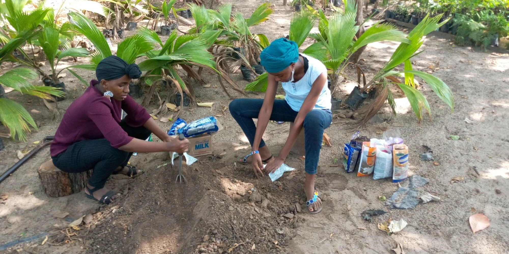 WhatsApp Image 2021-01-23 at 14.14.03.jpeg