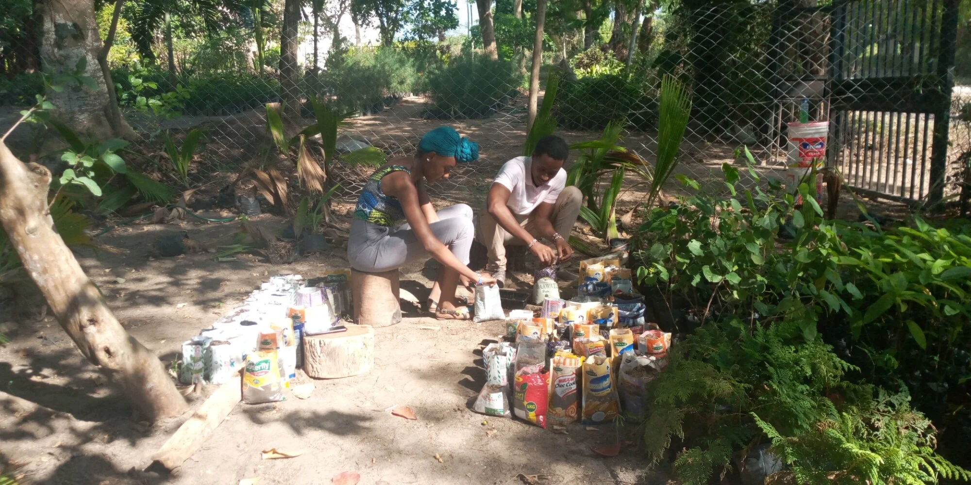 WhatsApp Image 2021-01-23 at 14.14.08.jpeg