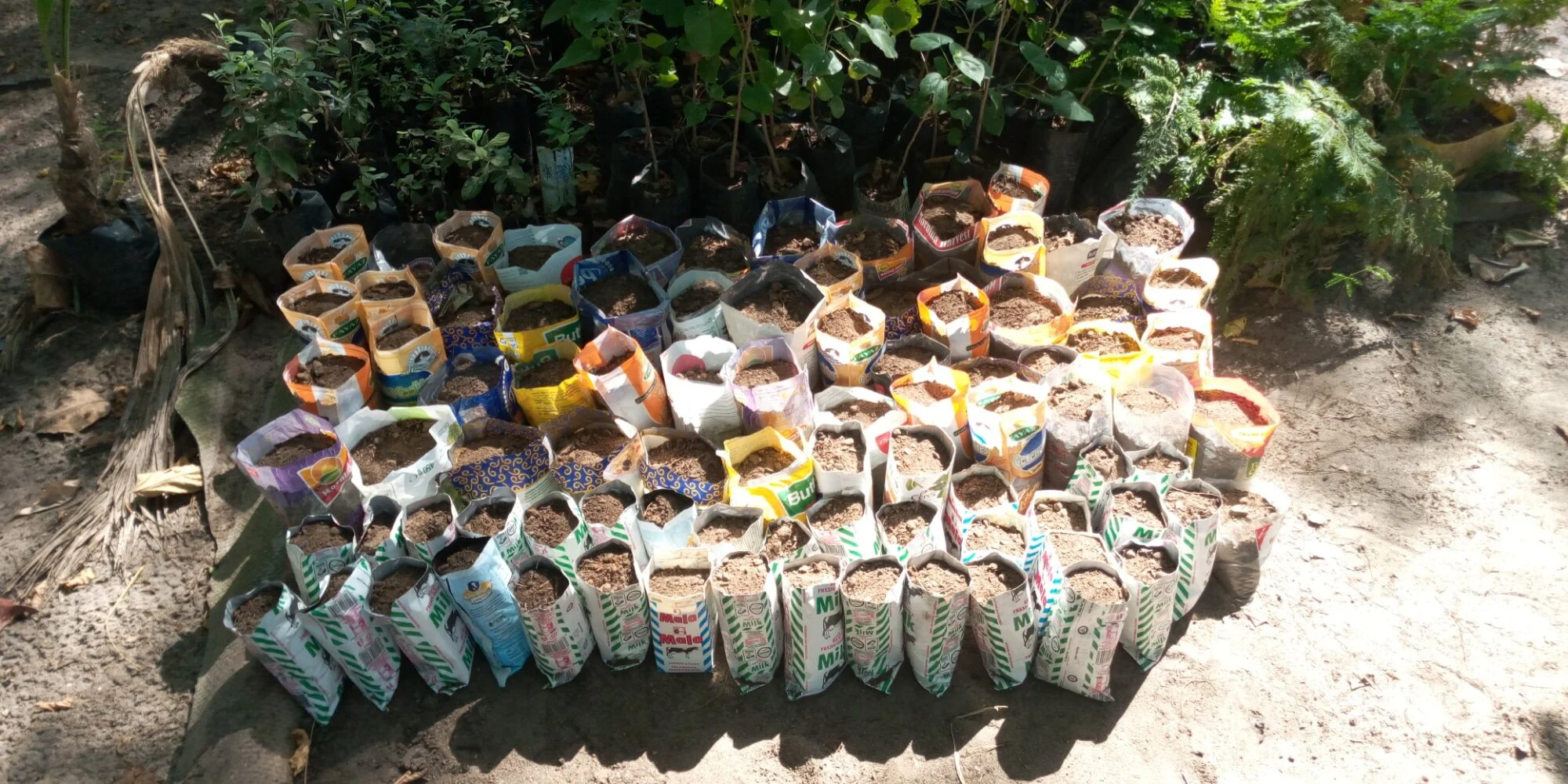 WhatsApp Image 2021-01-23 at 14.14.10.jpeg