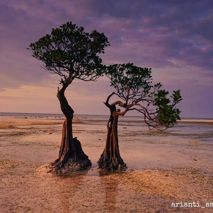 In honour of Mother’s Day, we are celebrating Mother Earth! 🌎
•
•
📷 @arianti_as 
•
•
#wearetheleaf #climatechange #globalwarming #conservation #protectit #wildlife #naturephotography #nature #ourplanet #leaf #teamtrees #no