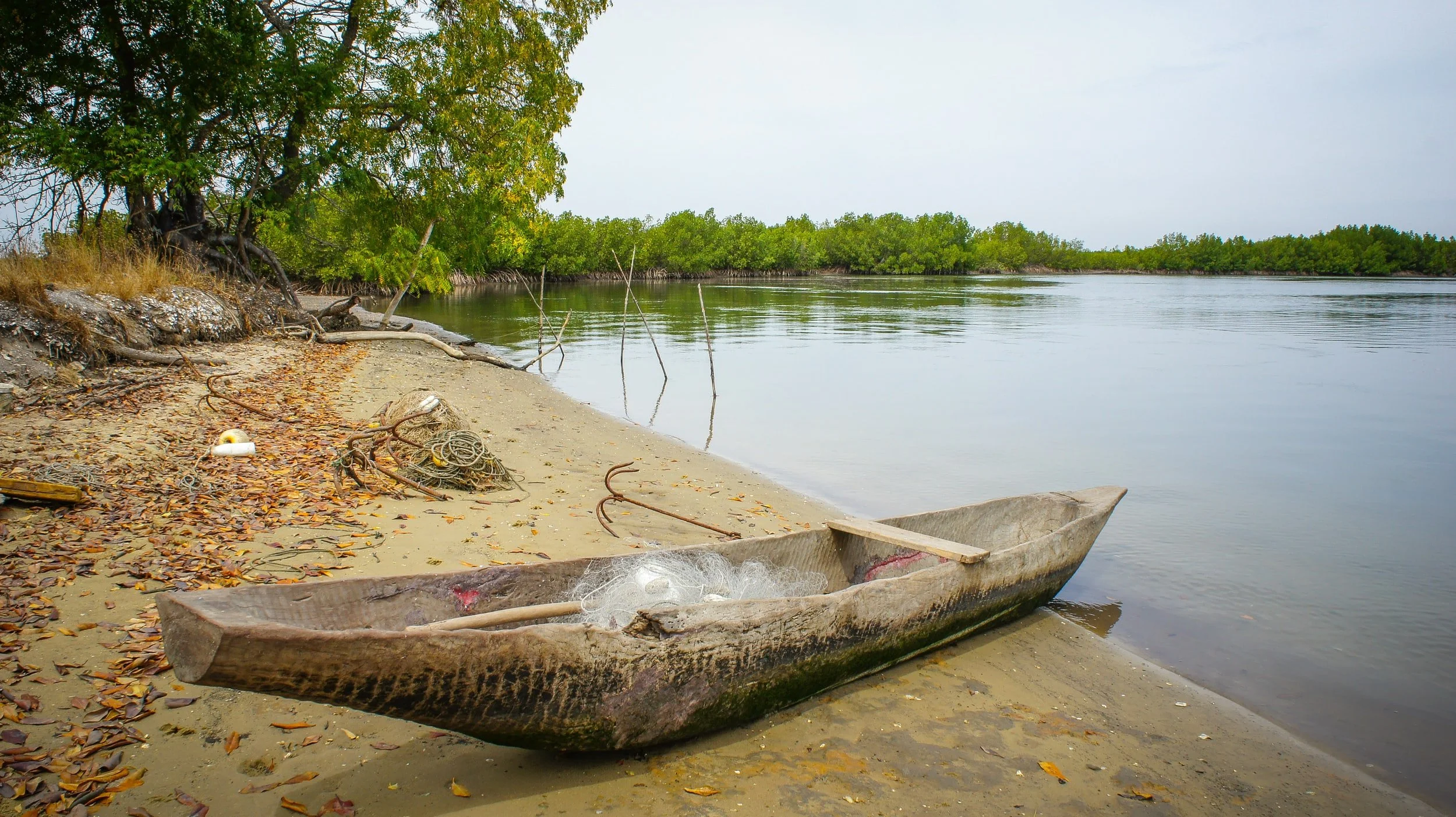 Benefits of Mangroves - Socio-economic