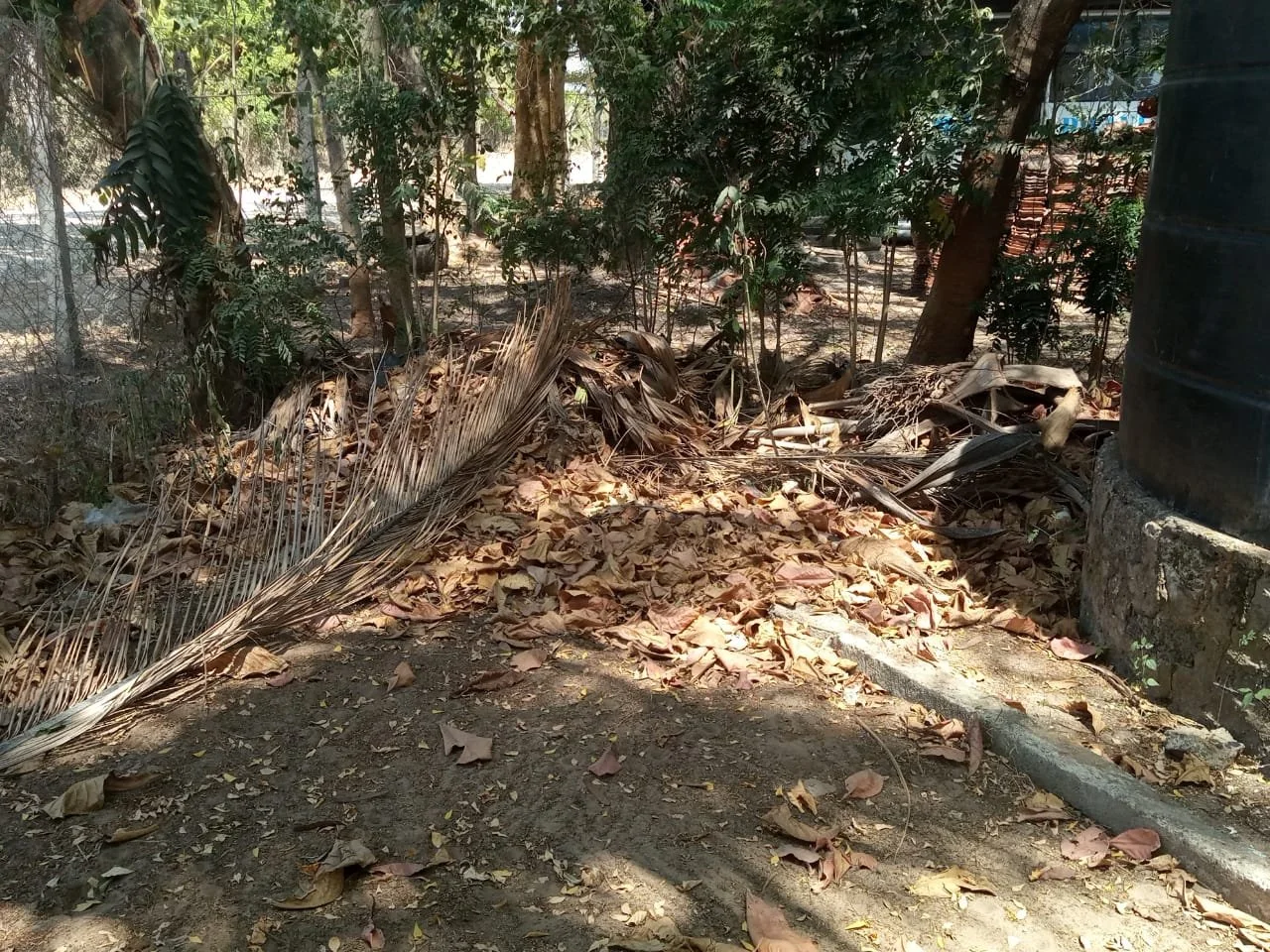 WhatsApp Image 2021-04-02 at 21.12.49.jpeg