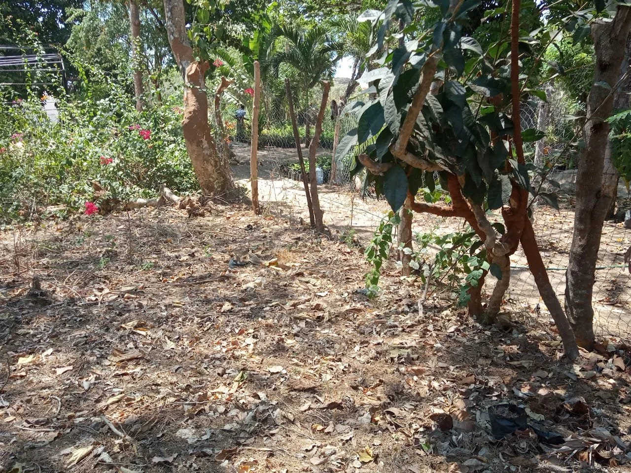 WhatsApp Image 2021-04-02 at 21.12.47.jpeg