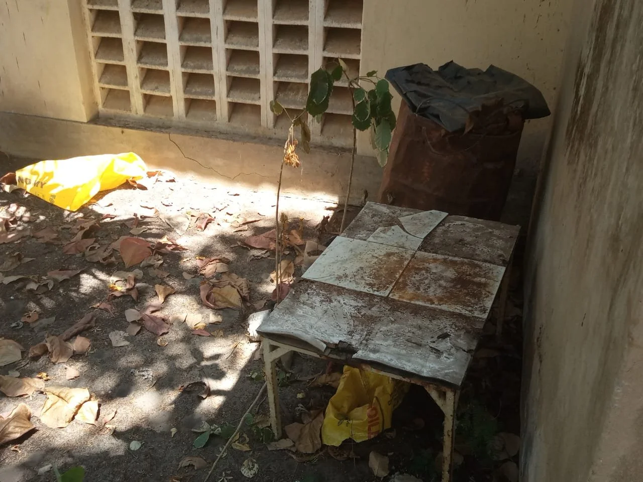 WhatsApp Image 2021-04-02 at 21.12.41.jpeg