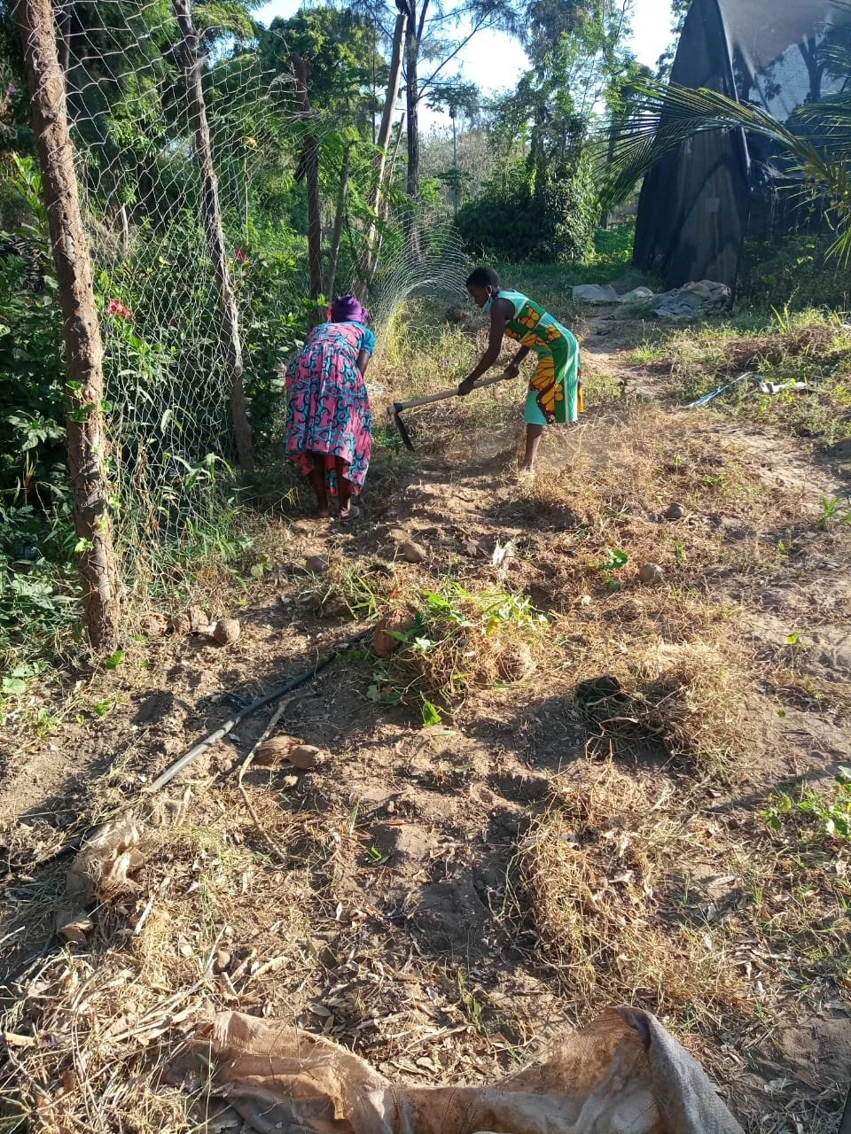 WhatsApp Image 2021-04-02 at 21.15.42.jpeg