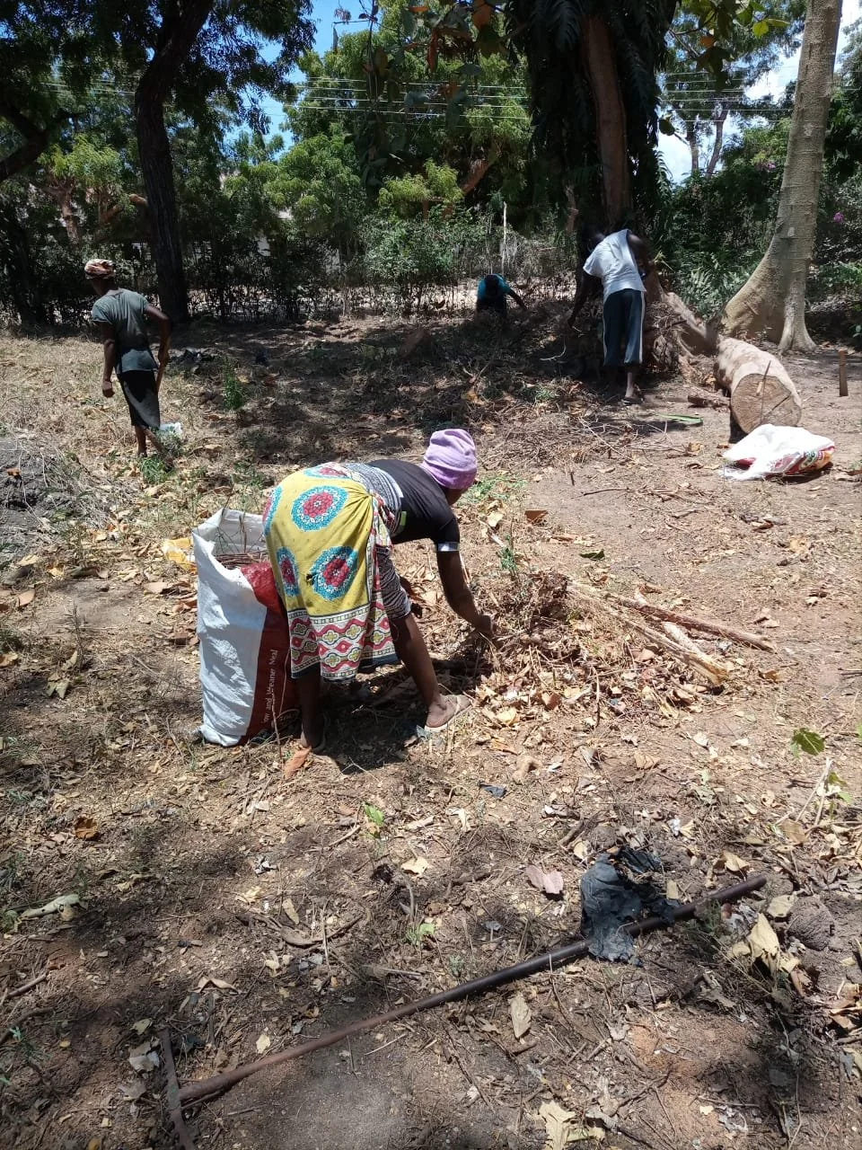 WhatsApp Image 2021-04-02 at 21.15.38.jpeg