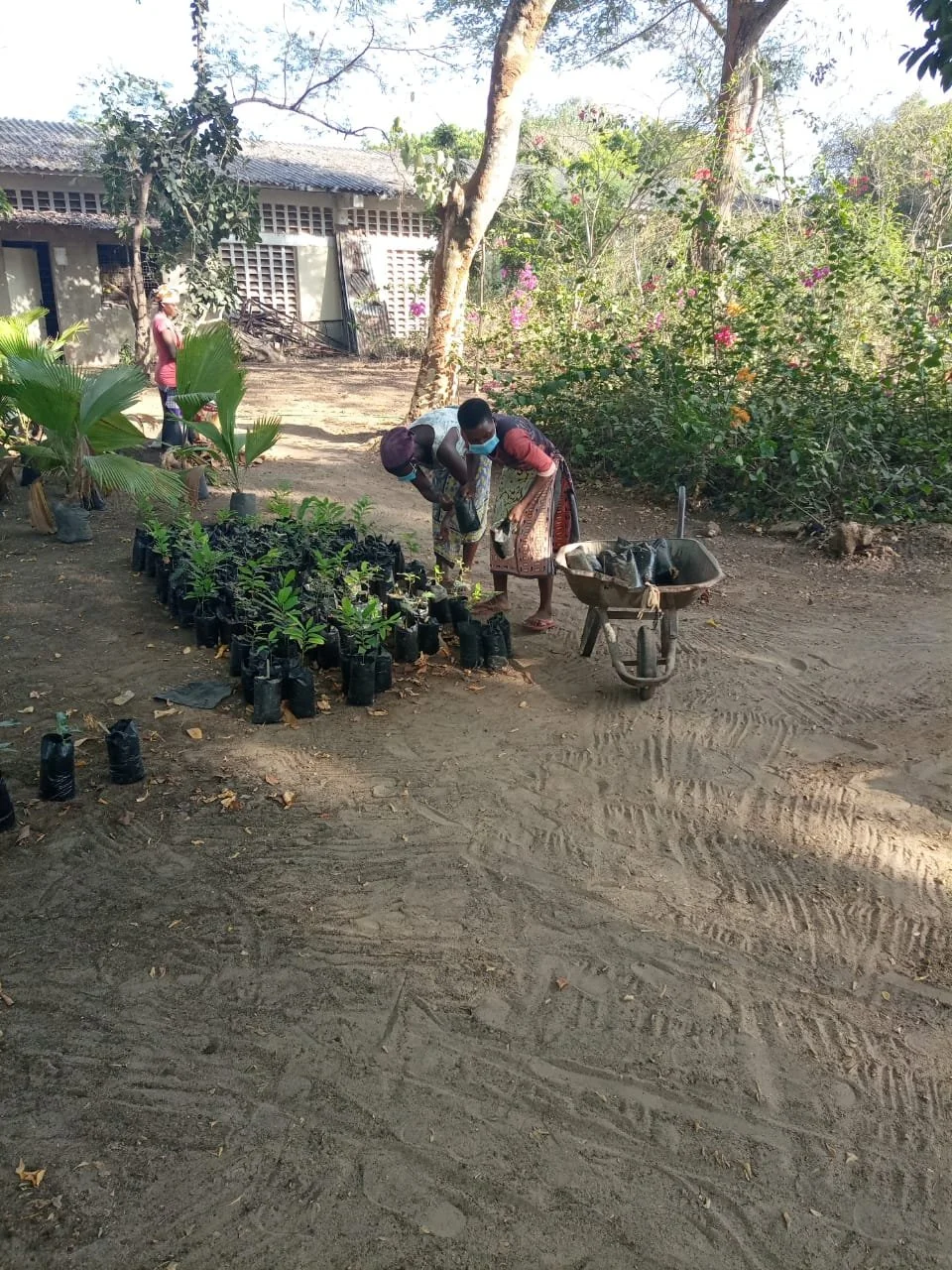 WhatsApp Image 2021-04-02 at 21.15.32.jpeg