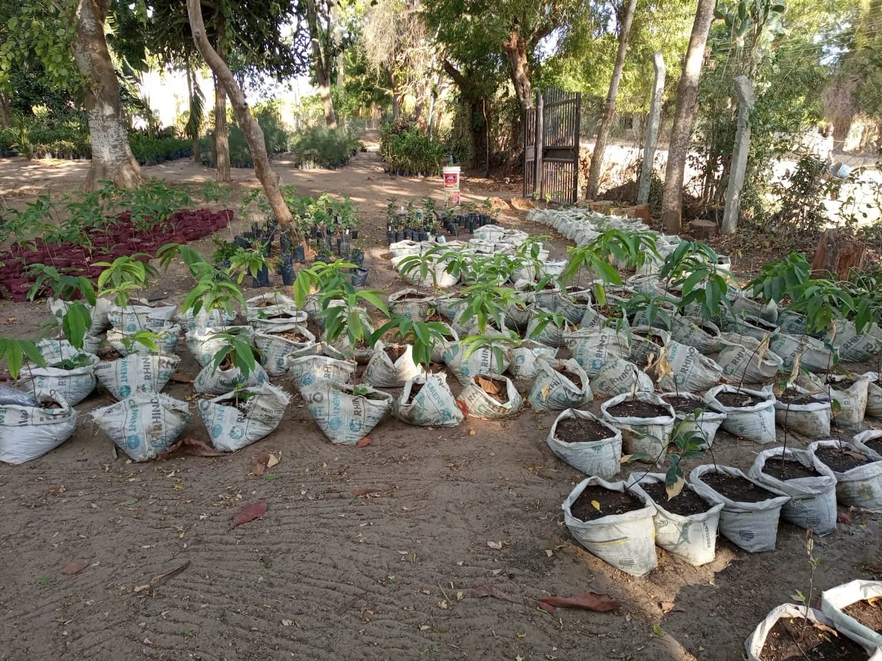 WhatsApp Image 2021-04-02 at 21.30.30.jpeg