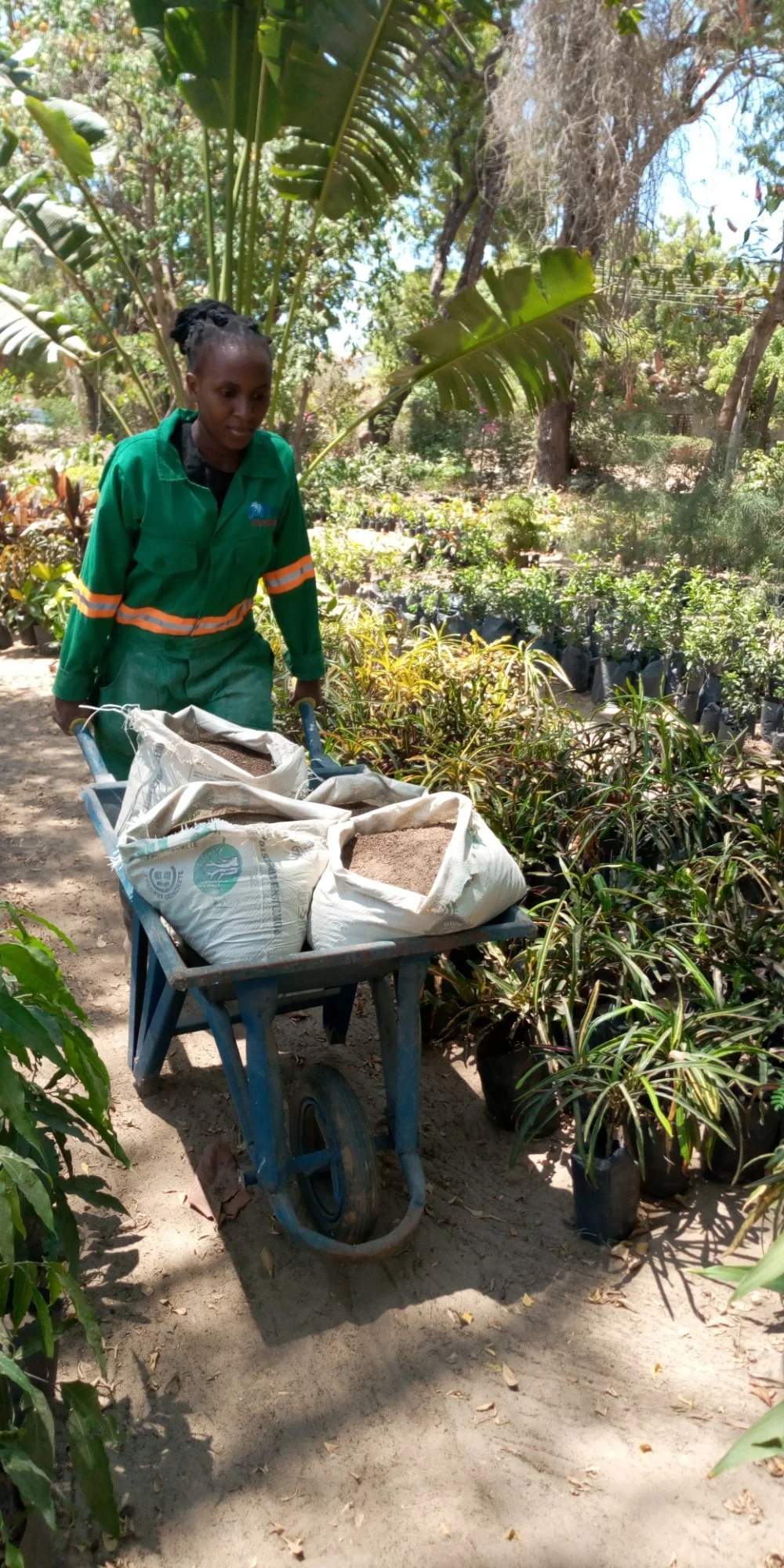 WhatsApp Image 2021-04-02 at 21.25.46.jpeg