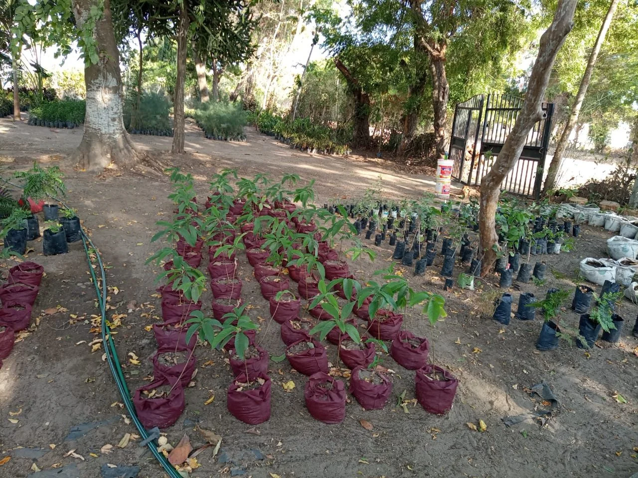 WhatsApp Image 2021-04-02 at 21.24.24.jpeg