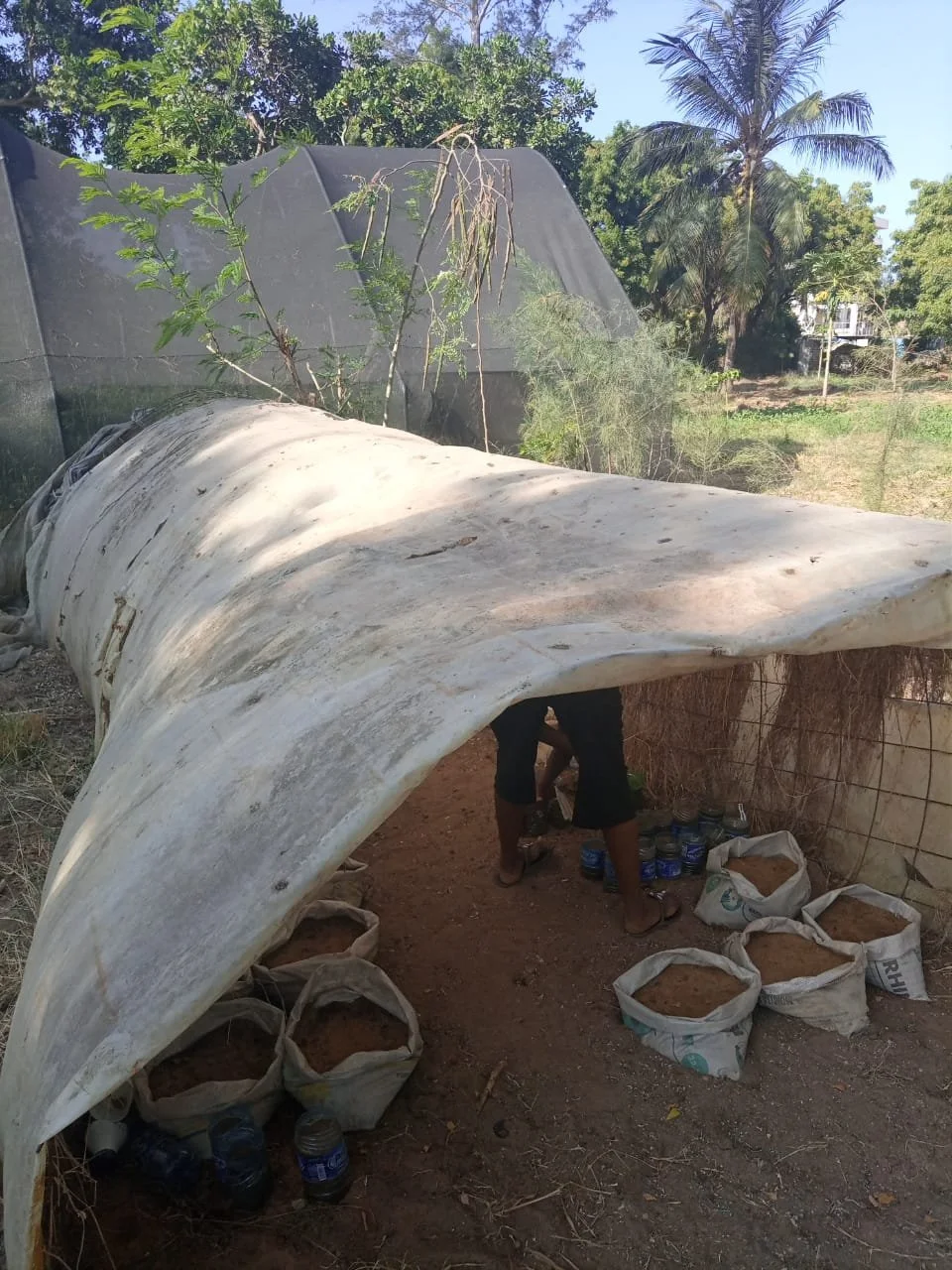 WhatsApp Image 2021-04-02 at 21.18.12.jpeg