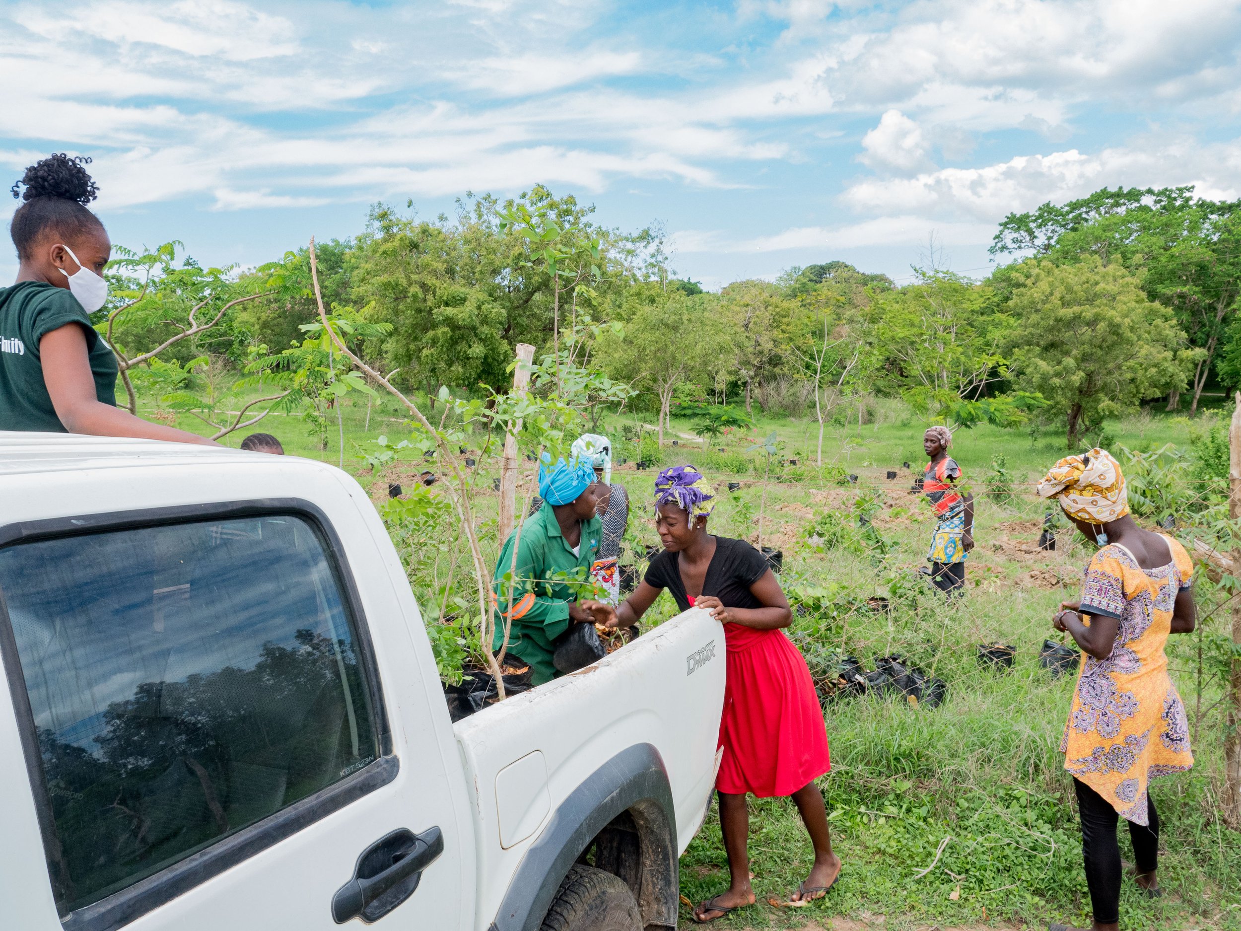 LEAF Tree Planting-1.jpg