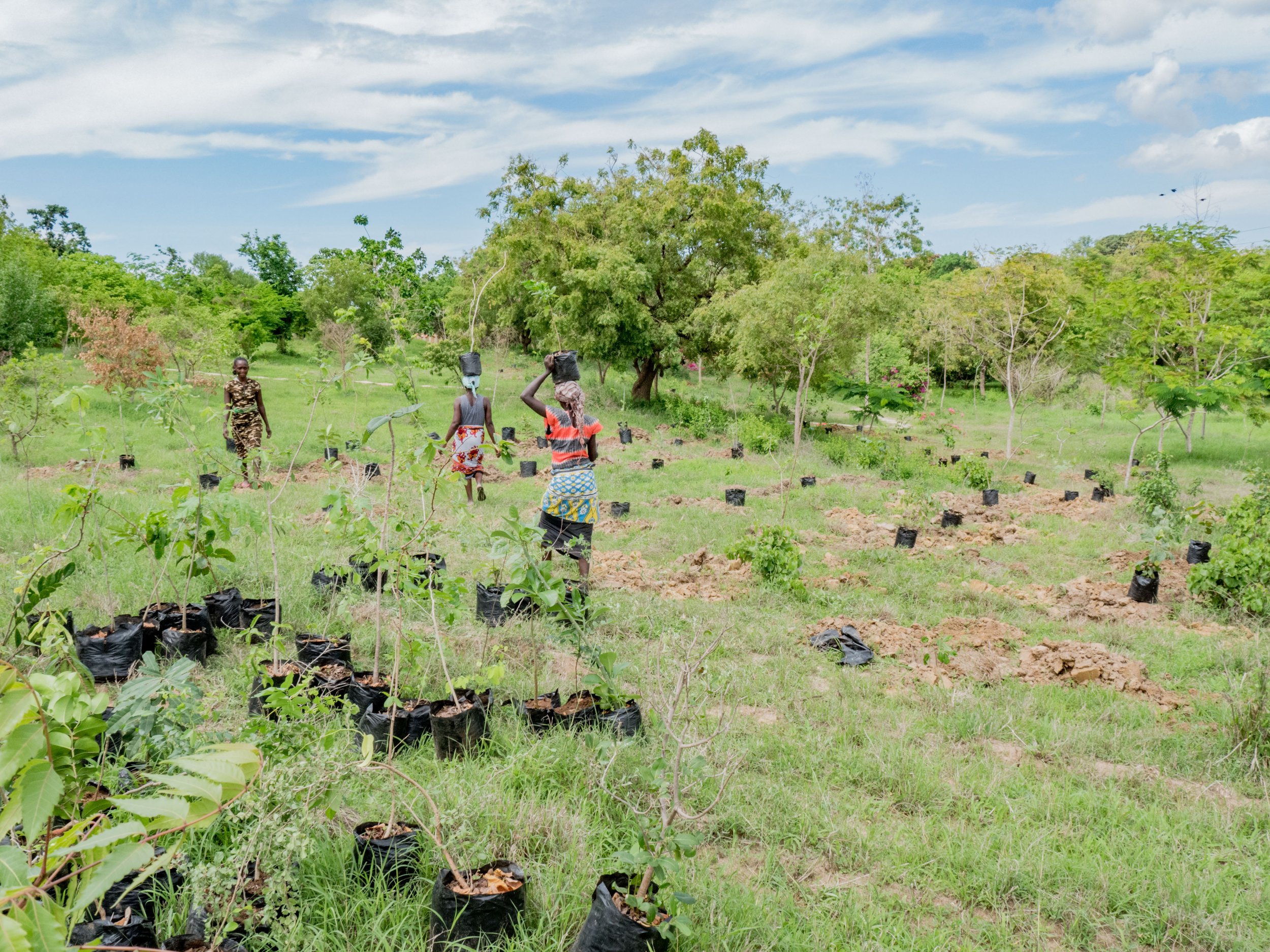 LEAF Tree Planting-4.jpg