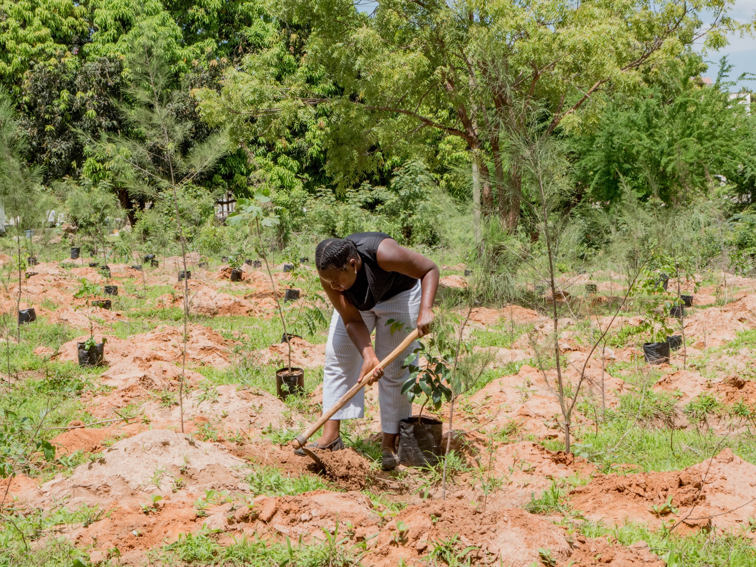 LEAF Tree Planting-13.jpg