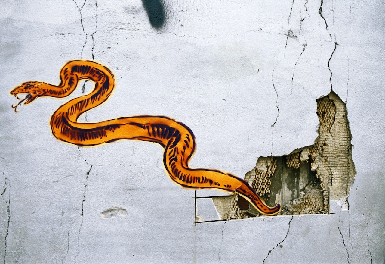 Snake stencil, MOCAD, 4454 Woodward Ave. Detroit, 2011.