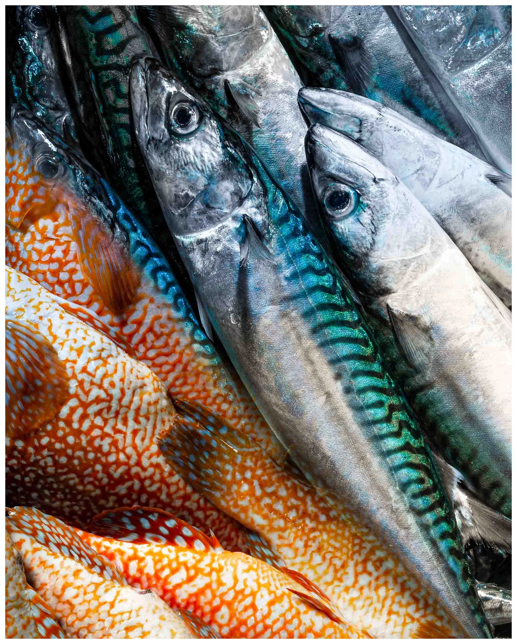 Pescado mezclado y preparado para la subasta