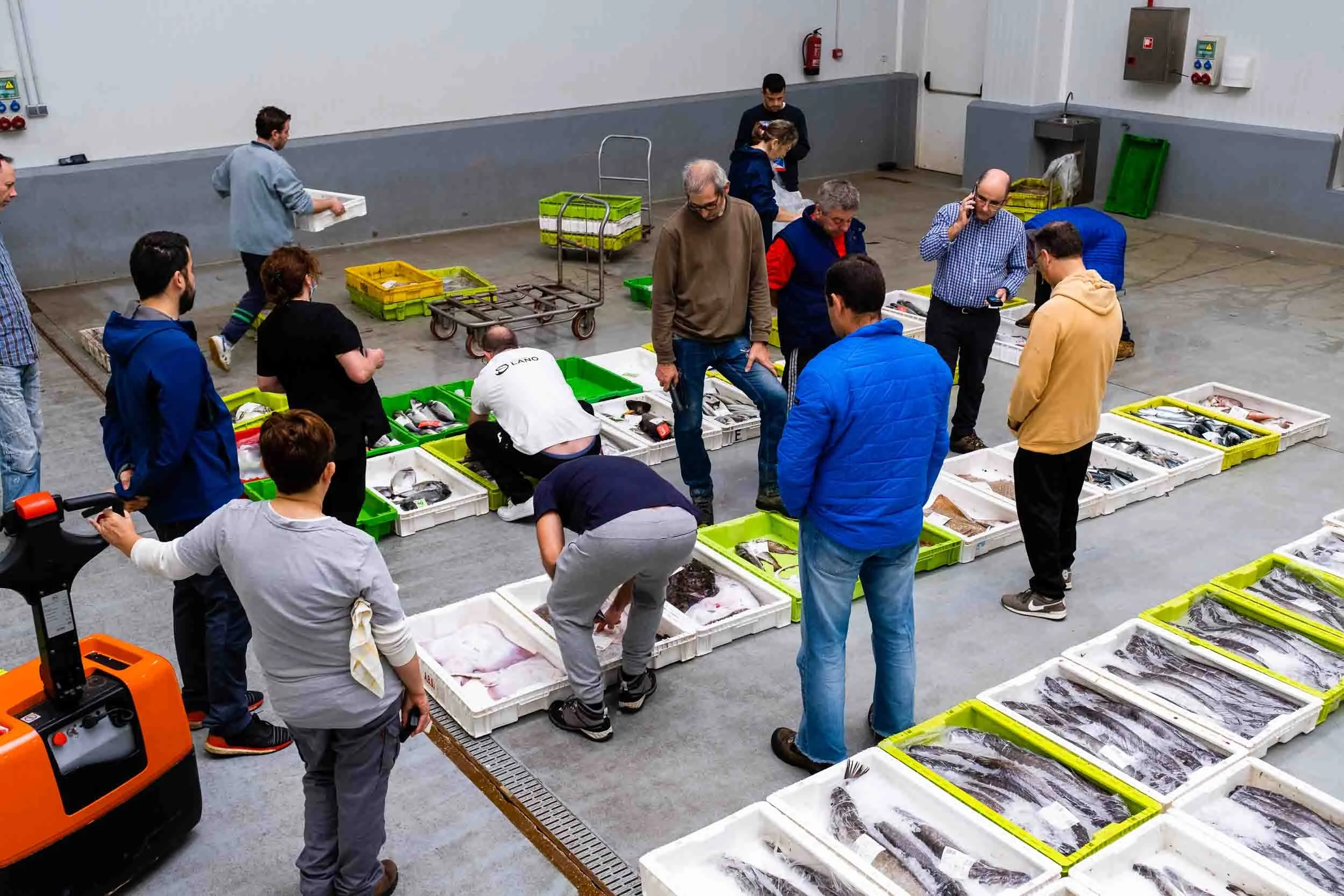 Mayoristas pujando por el mejor pescado