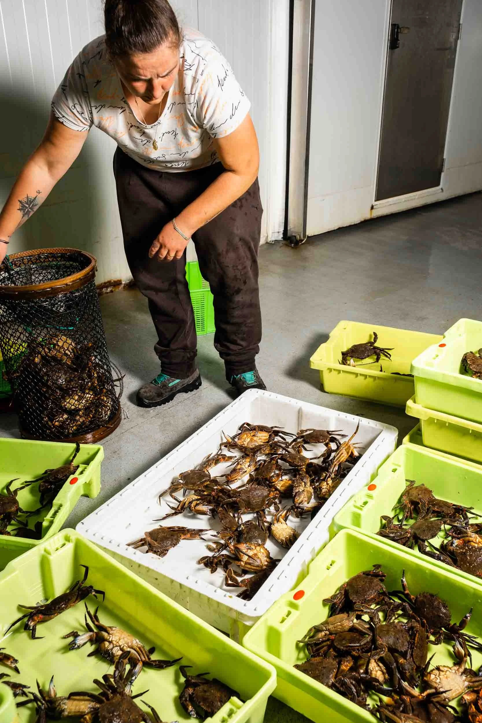 Pescadora clasificando marisco para la subasta