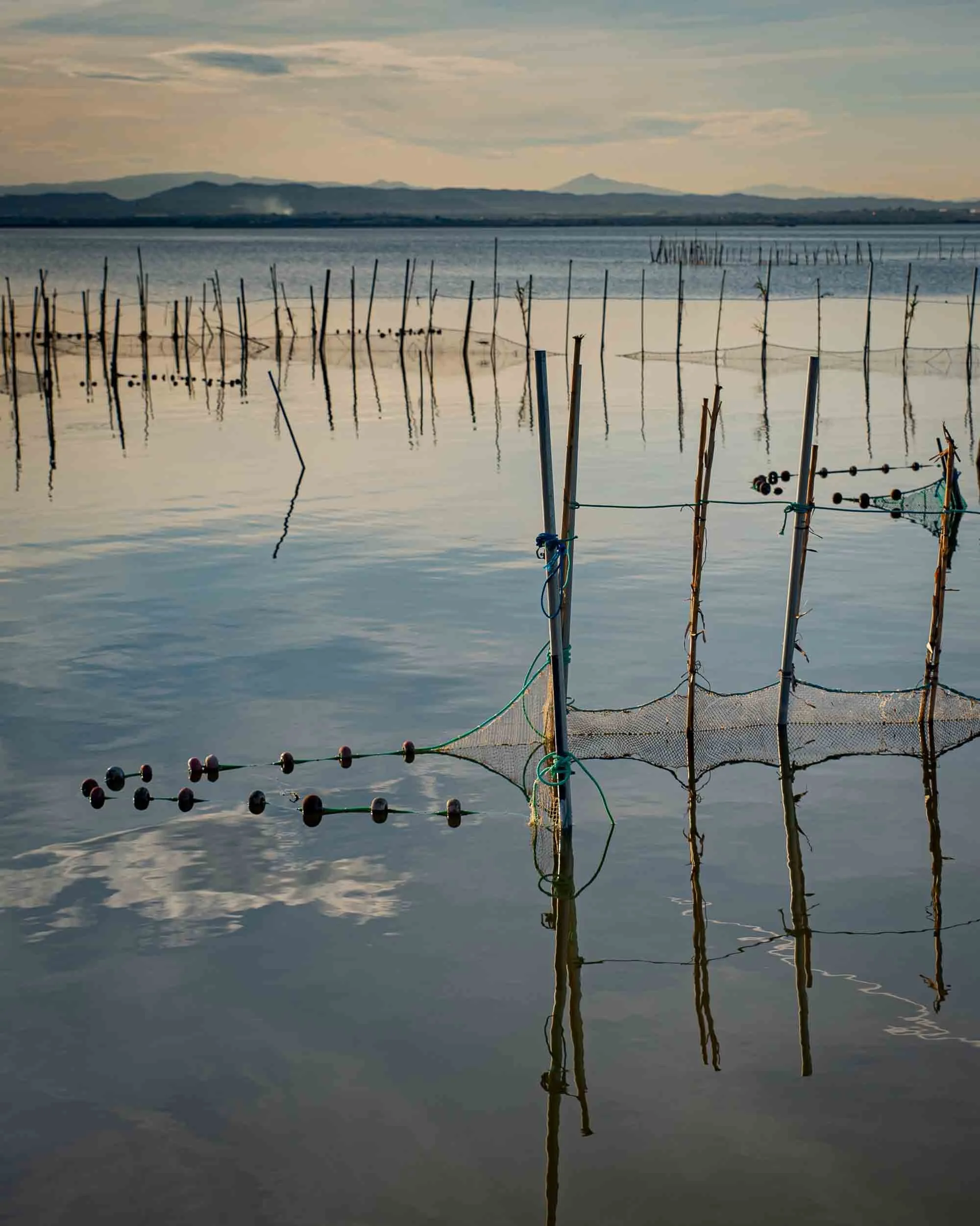 albufera.jpg