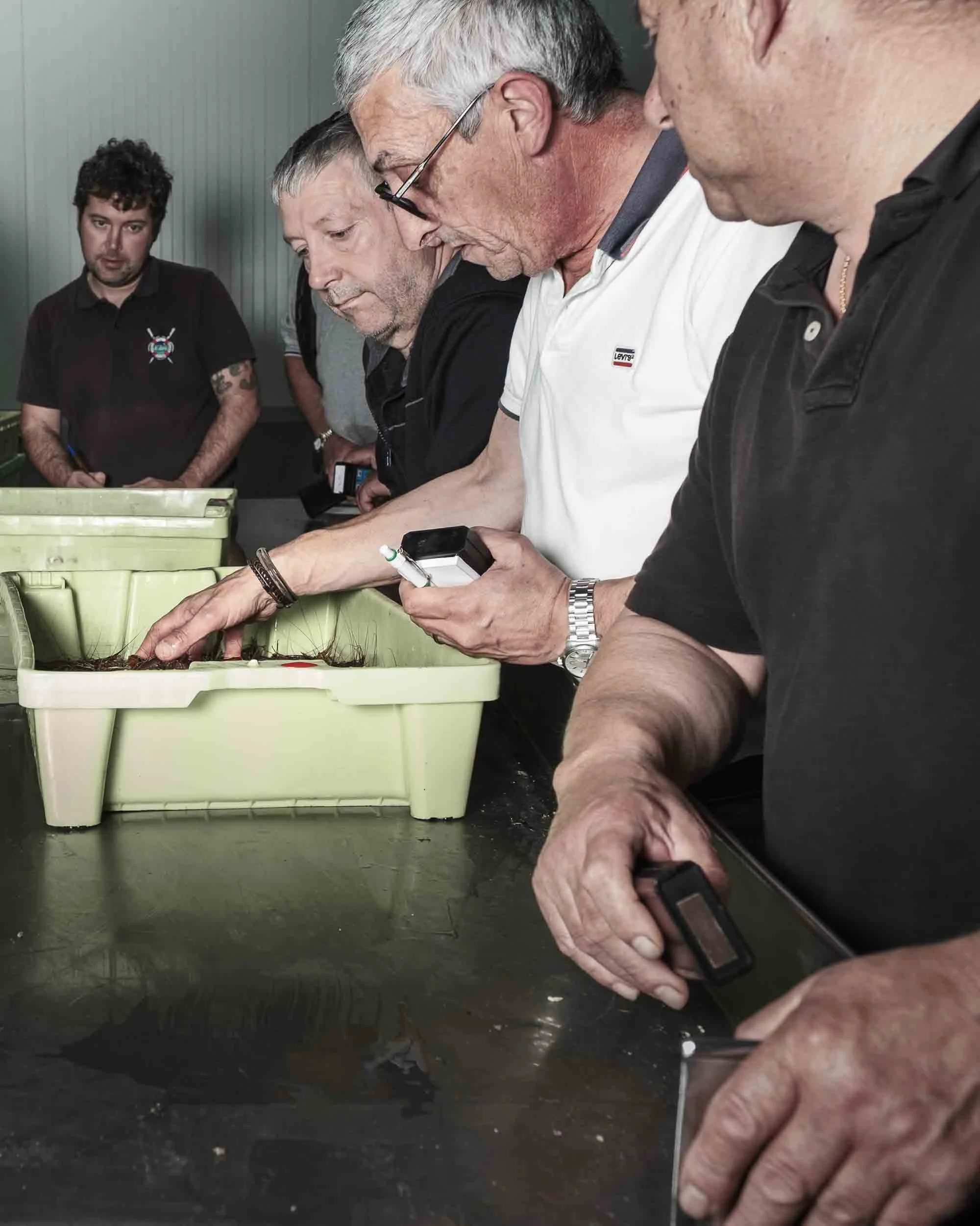 Detalle de mando electrónico utilizado por los profesionales para la subasta de pescado en Cedeira.