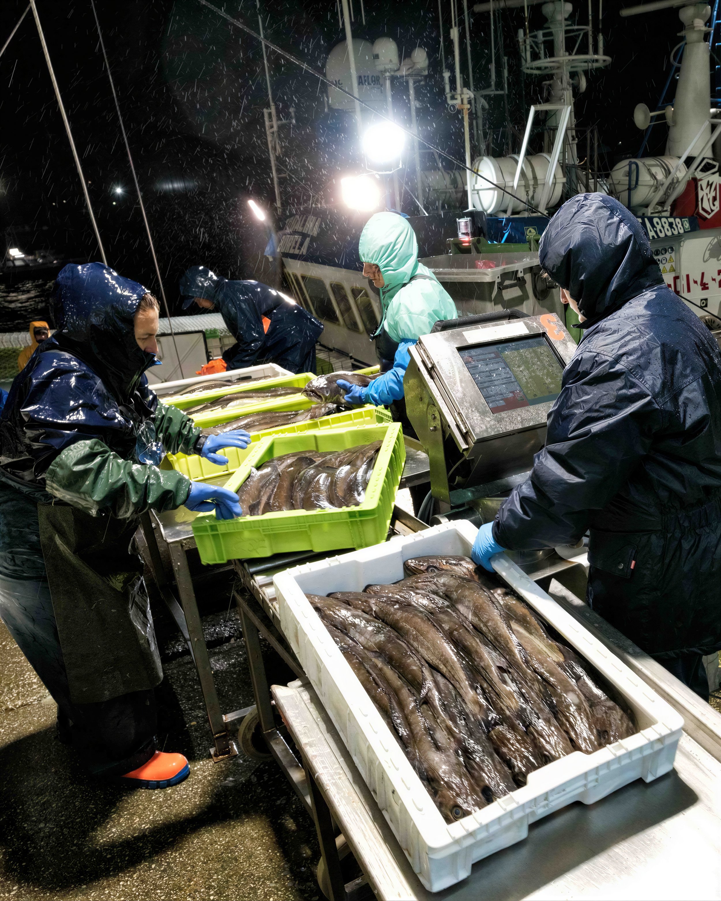 Primer plano del lomo plateado y la frescura de la Merluza del Pincho capturada con artes fijas.
