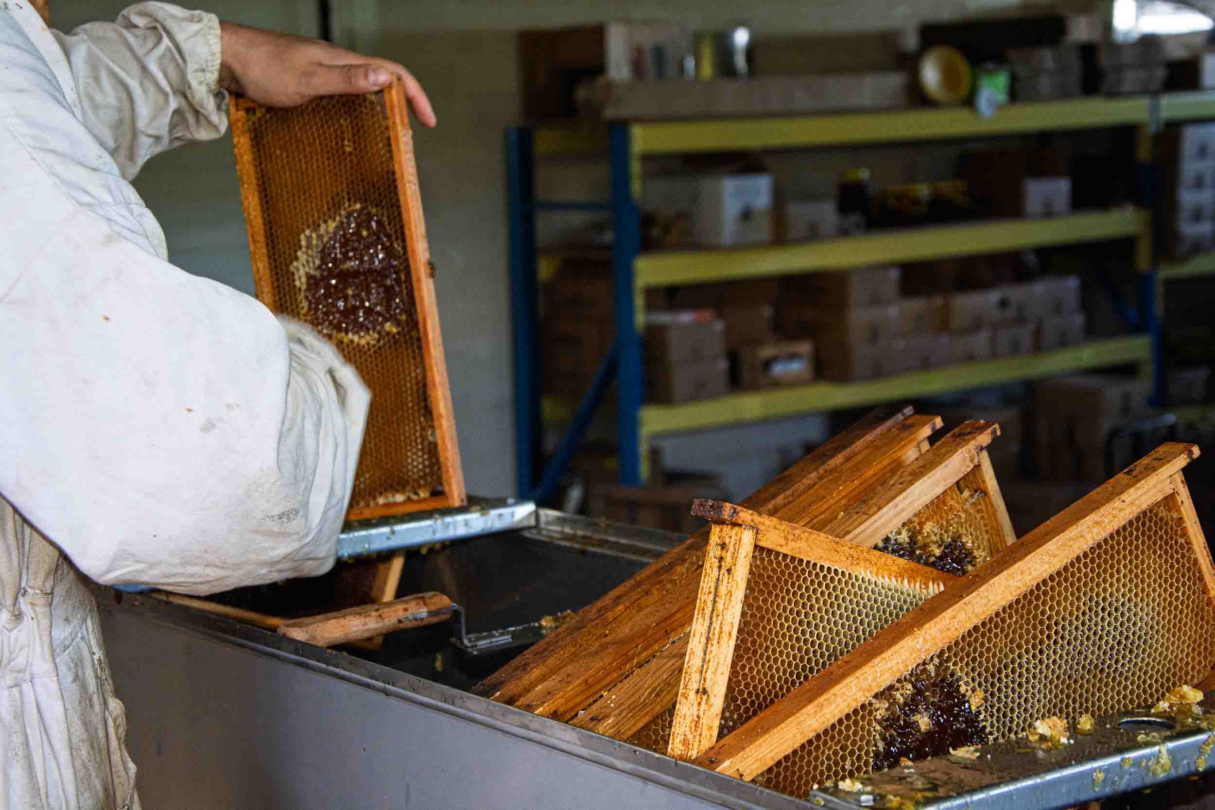 Uso de herramientas tradicionales para la limpieza y preparación de los cuadros en la sala de extracción.