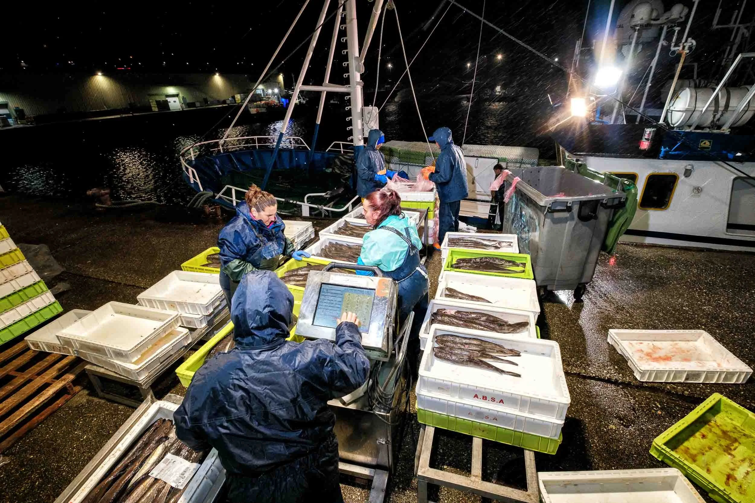 Clasificación y pesaje de las cajas de merluza fresca recién descargadas del pesquero Breso Uno durante la noche poco antes del comienzo de la subasta en la lonja de Burela
