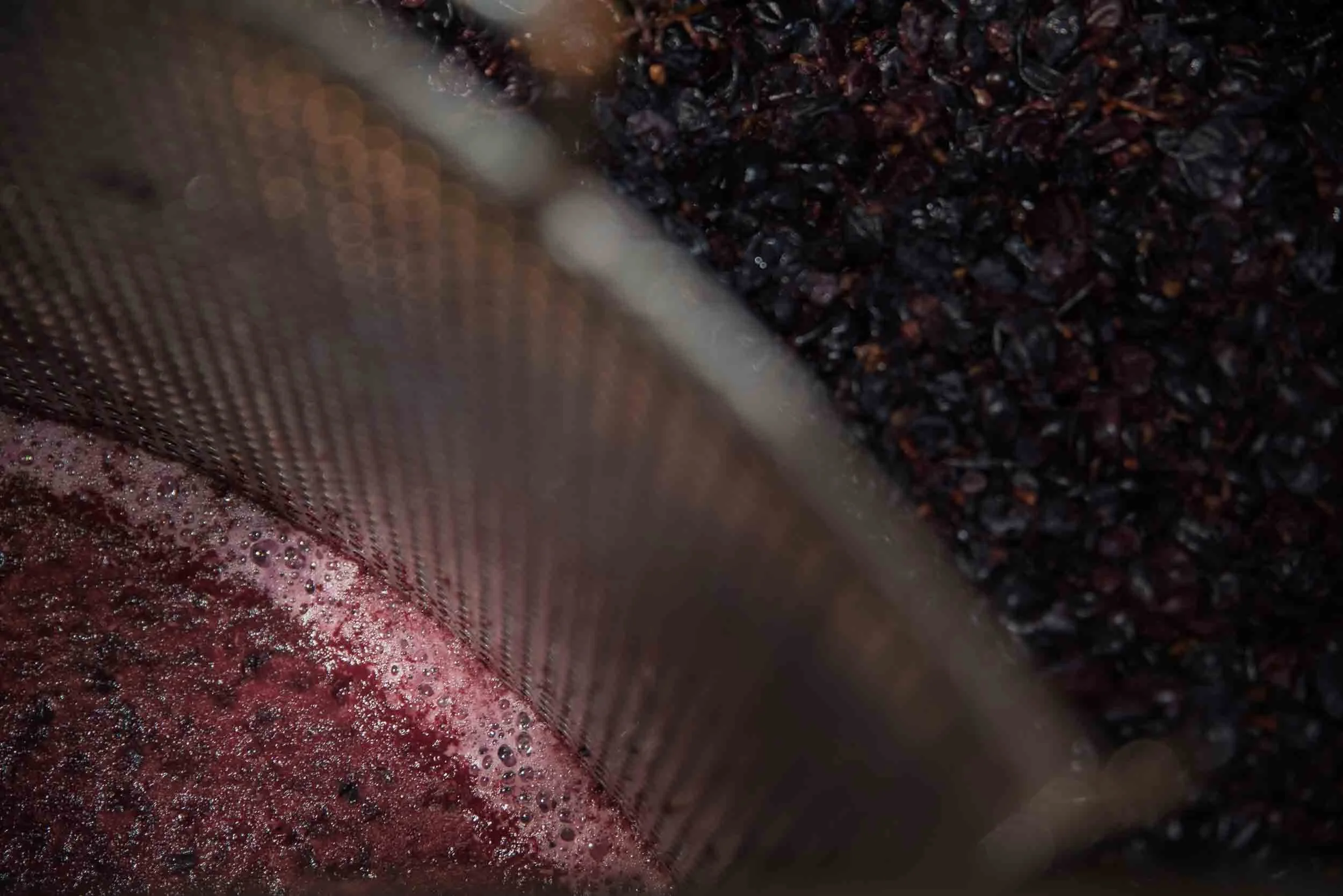 Detalle del mosto de uva tinta recién pisada en los lagares, mostrando densidad y color.