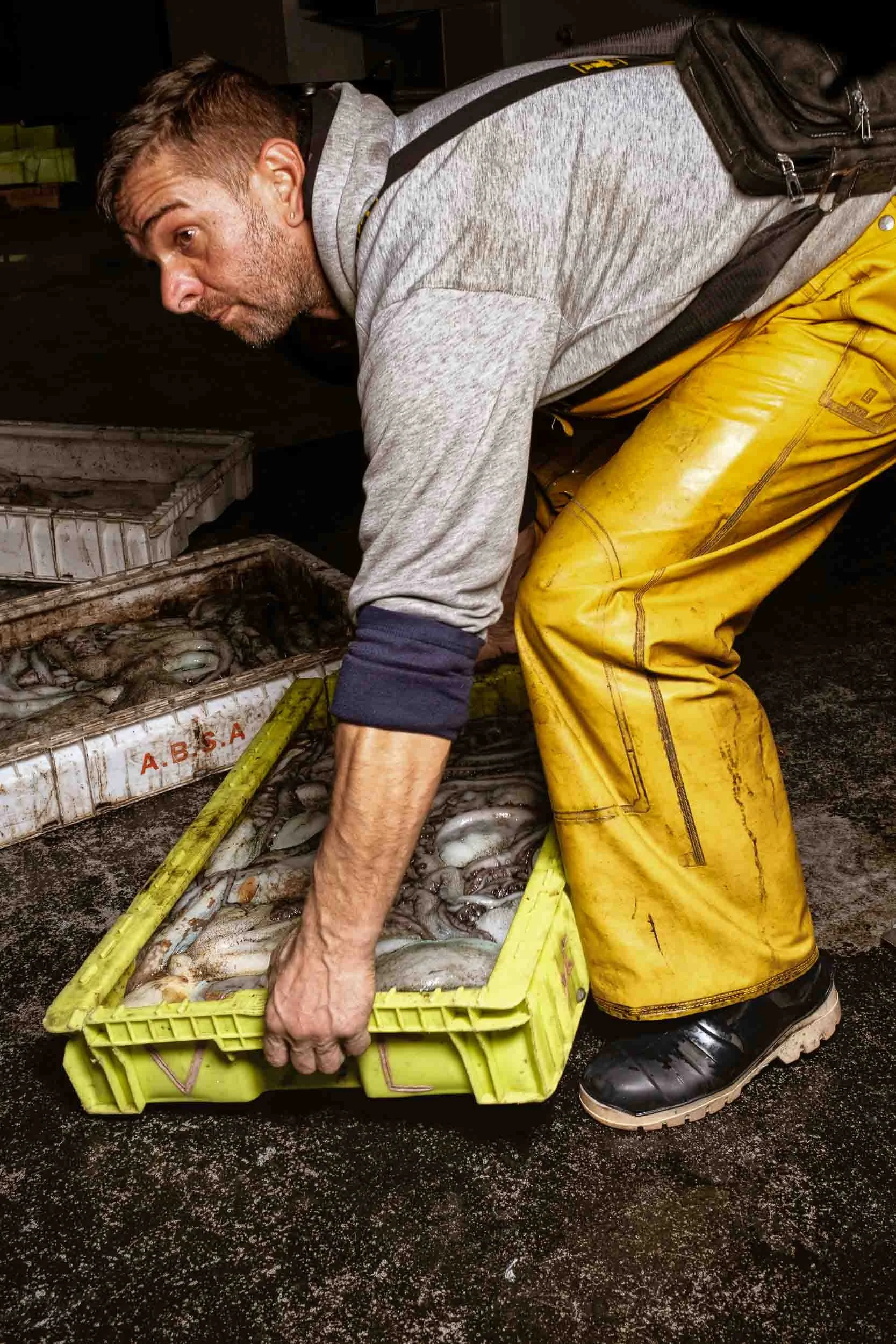 Operario manipulando cajas de pulpo gallego recién capturado en las instalaciones de Cedeira.