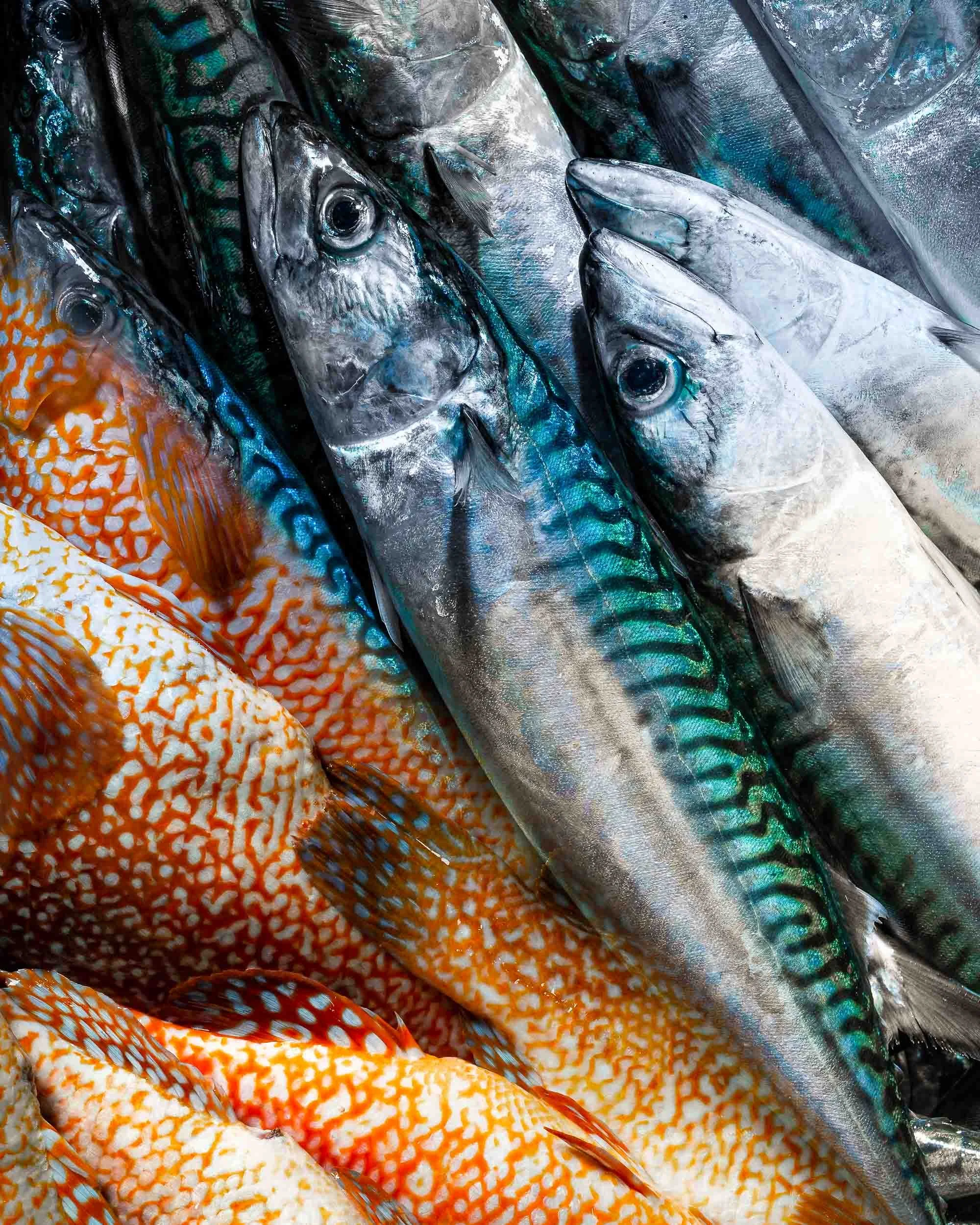 Montaje visual artístico de pescado fresco en la lonja, fotografía de producto local con enfoque documental y rústico por Photorural.