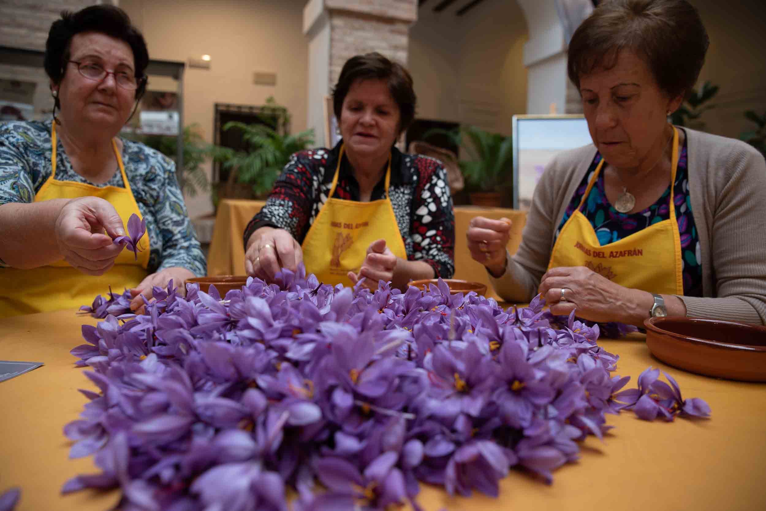 Grupo de personas trabajando juntas en la monda, reflejando la tradición social del azafrán.