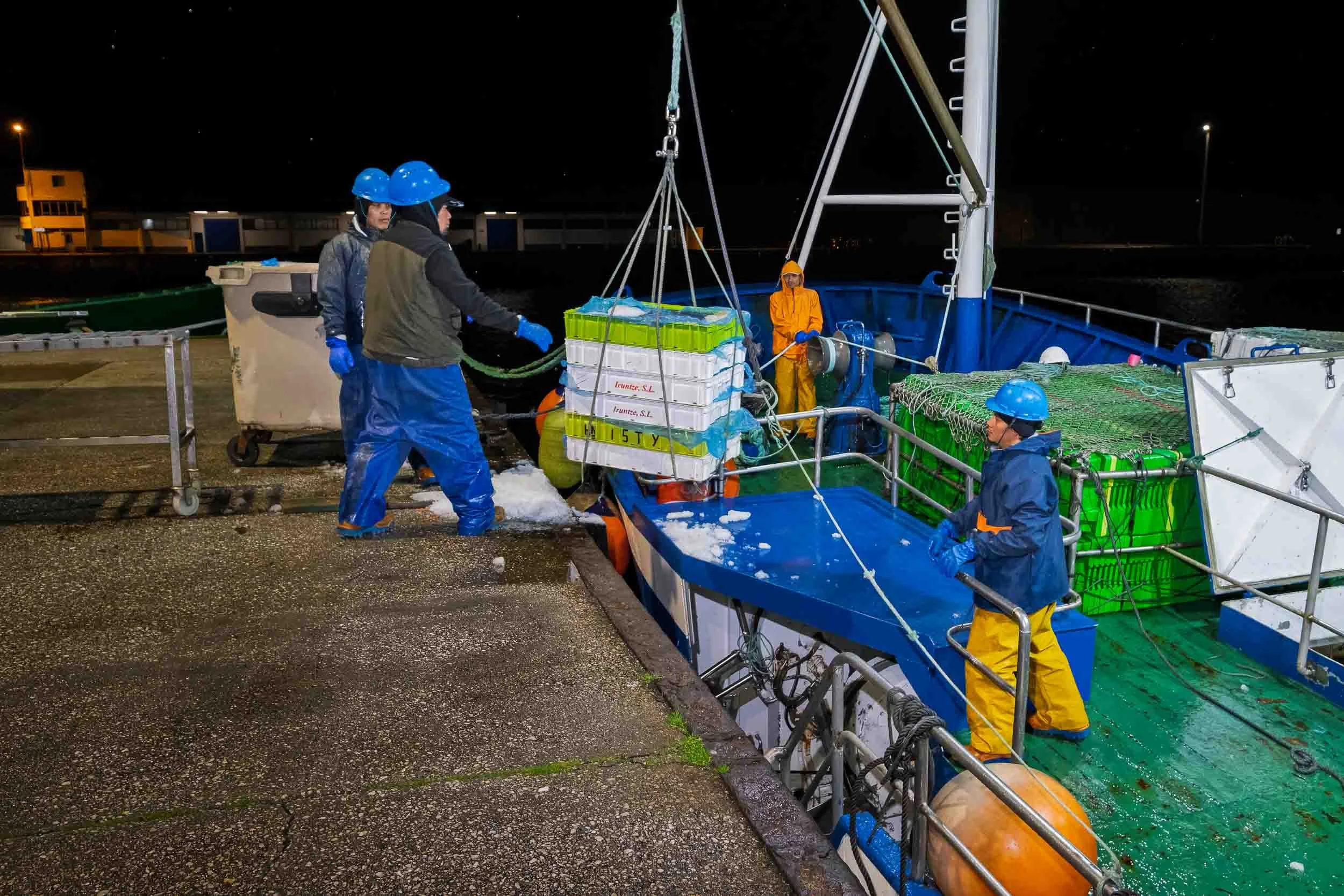 Operarios descargando el cargamento de Merluza del Pincho durante la madrugada, primer paso en la cadena de la subasta en las instalaciones de la OPP-7.
