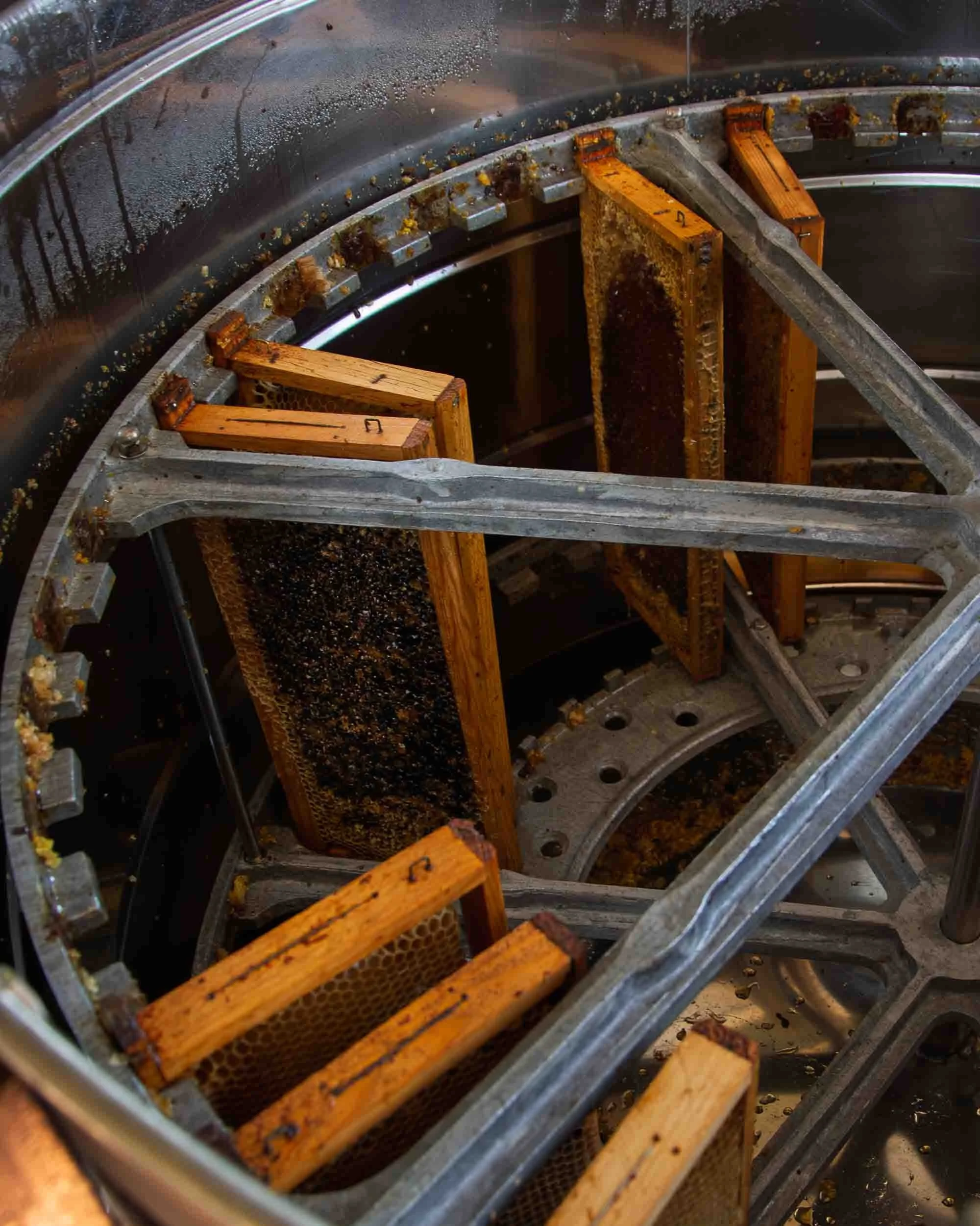 Uso de extractor centrífugo manual para la obtención de miel en frío, preservando sus propiedades.